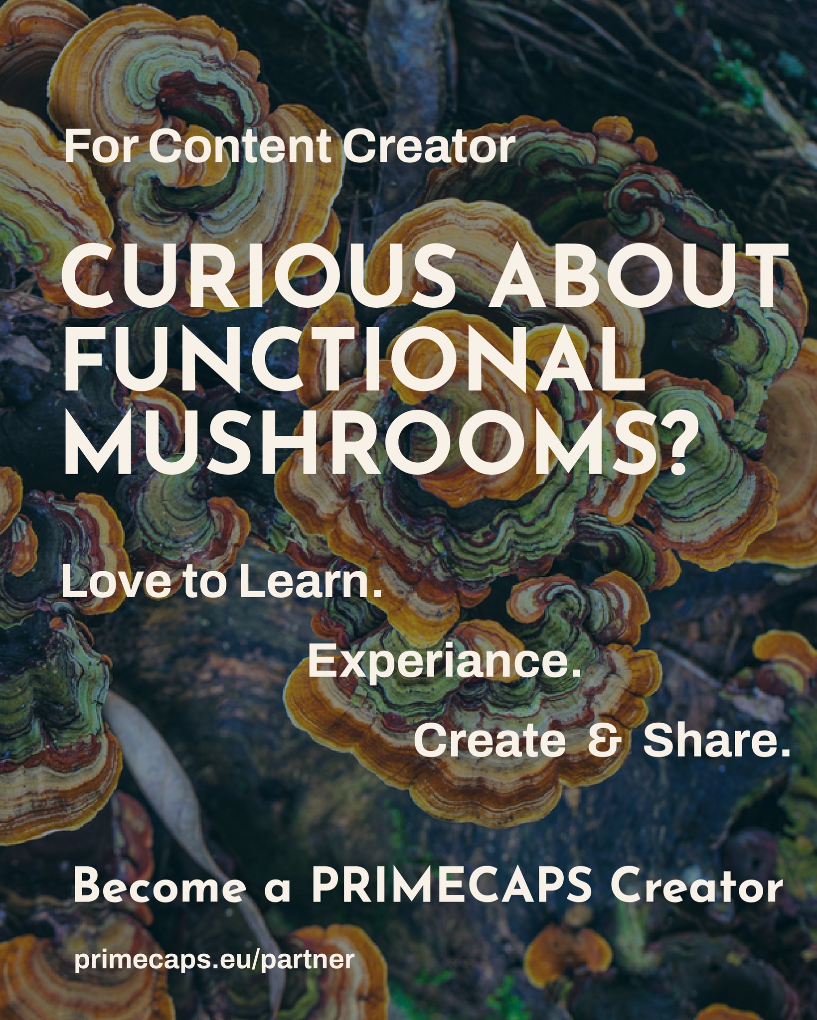 PRIMECAPS Facebook ad