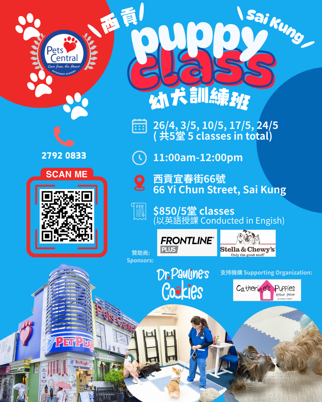 Pets Central Facebook ad