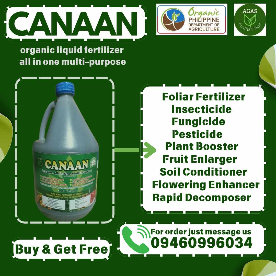 Canaan organic liquid fertilizer - Balungao Pangasinan Facebook ad from Mar 2, 2026