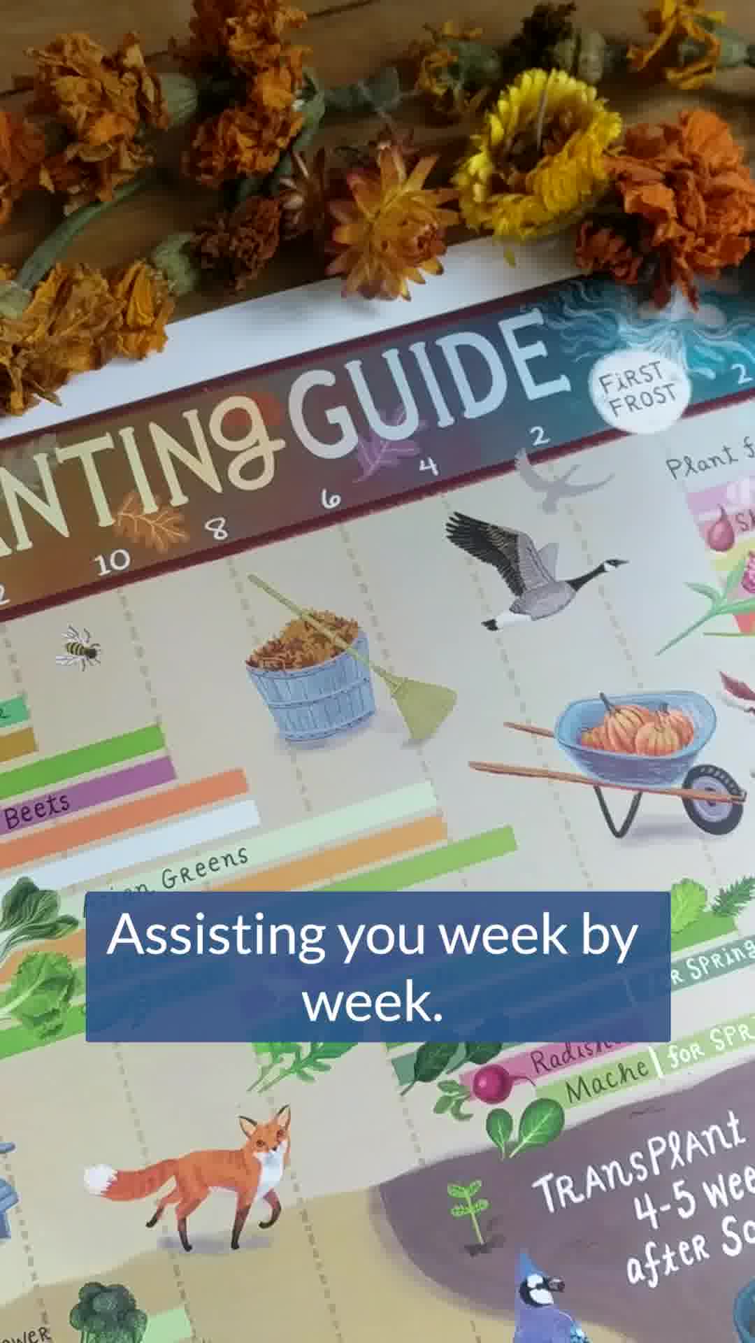 Hudson Valley Seed Co. Facebook ad: Nurturing Creativity, Blooming Art. Check Our Guides and…