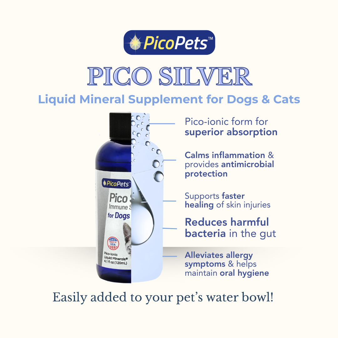 PicoPets Facebook ad