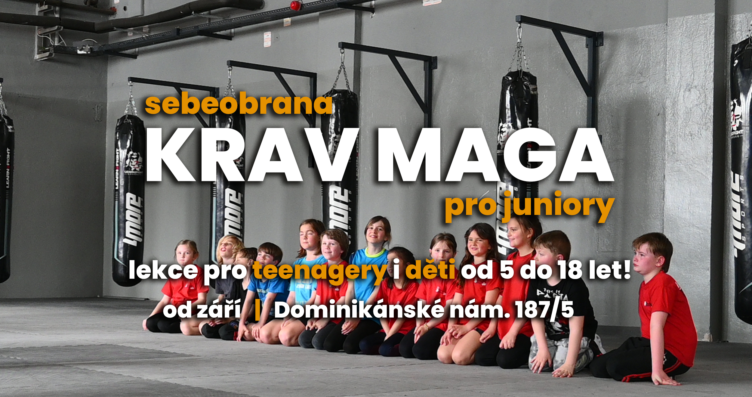 Krav Maga Global Brno Facebook ad: Lekce na zkoušku zdarma!