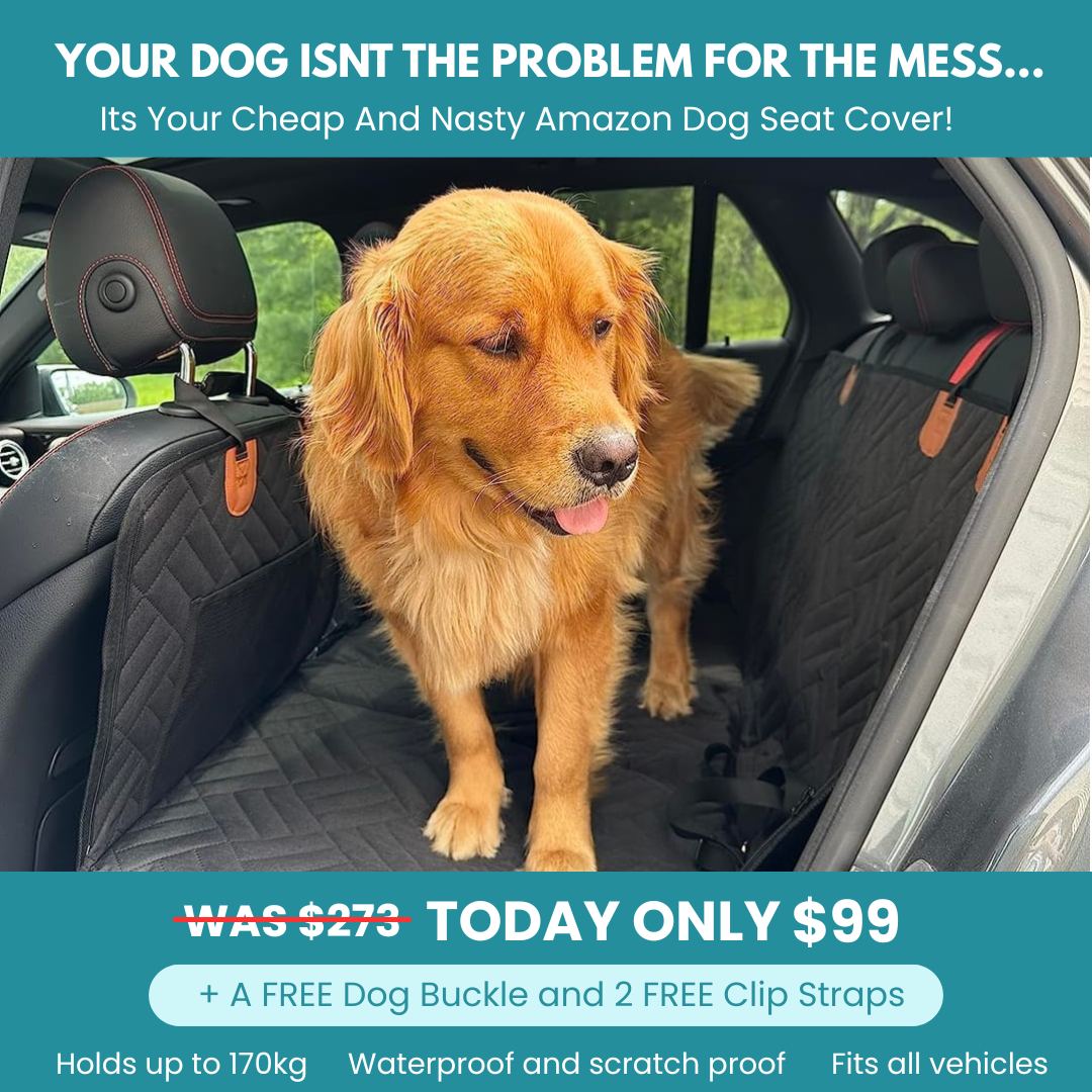 MrBarks.Shop Facebook ad