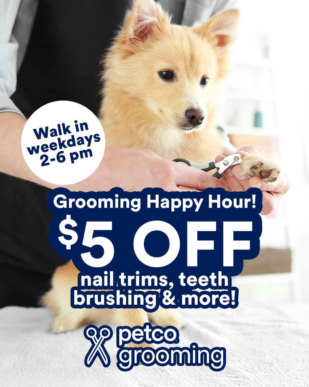 Petco Facebook ad
