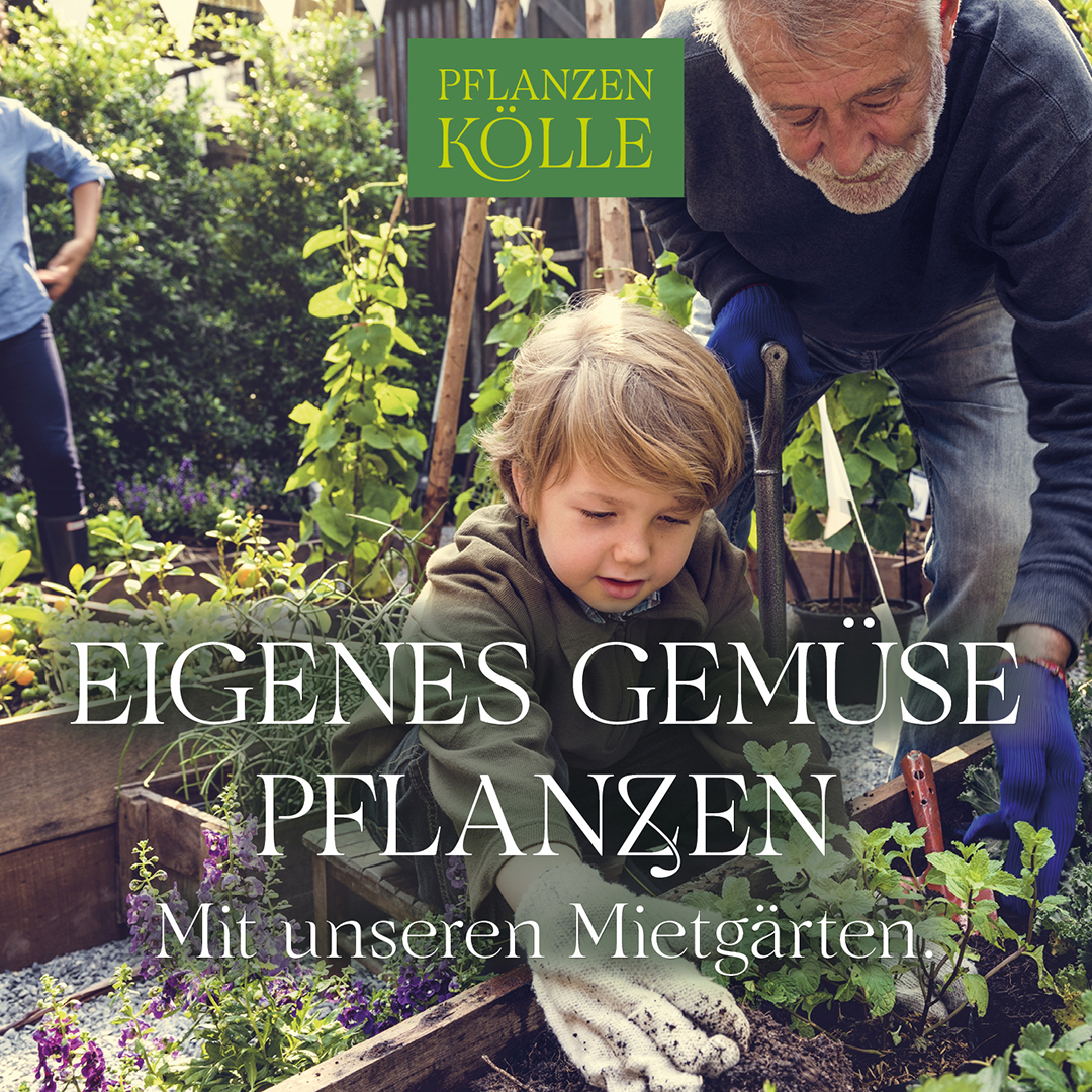 Pflanzen-Kölle Facebook ad