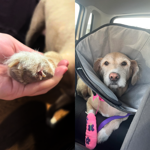 Nancys Health Blog Facebook ad: Read This If Nail Trimming Is A Battle