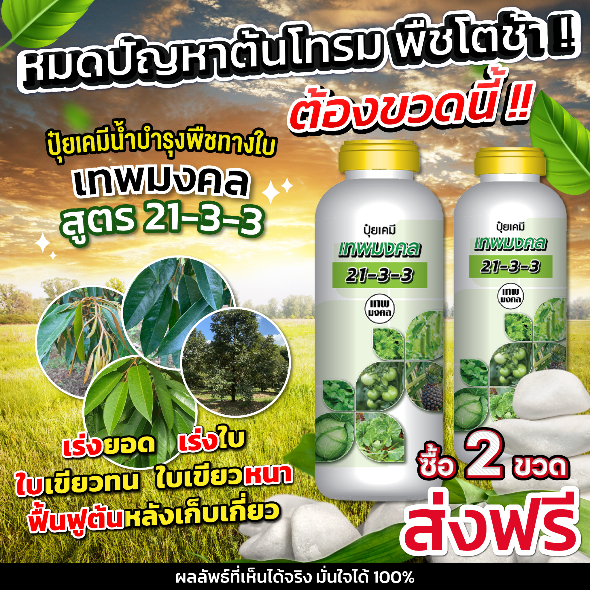 น้องปุ๋ยน้ำ ตราเทพมงคล Facebook ad