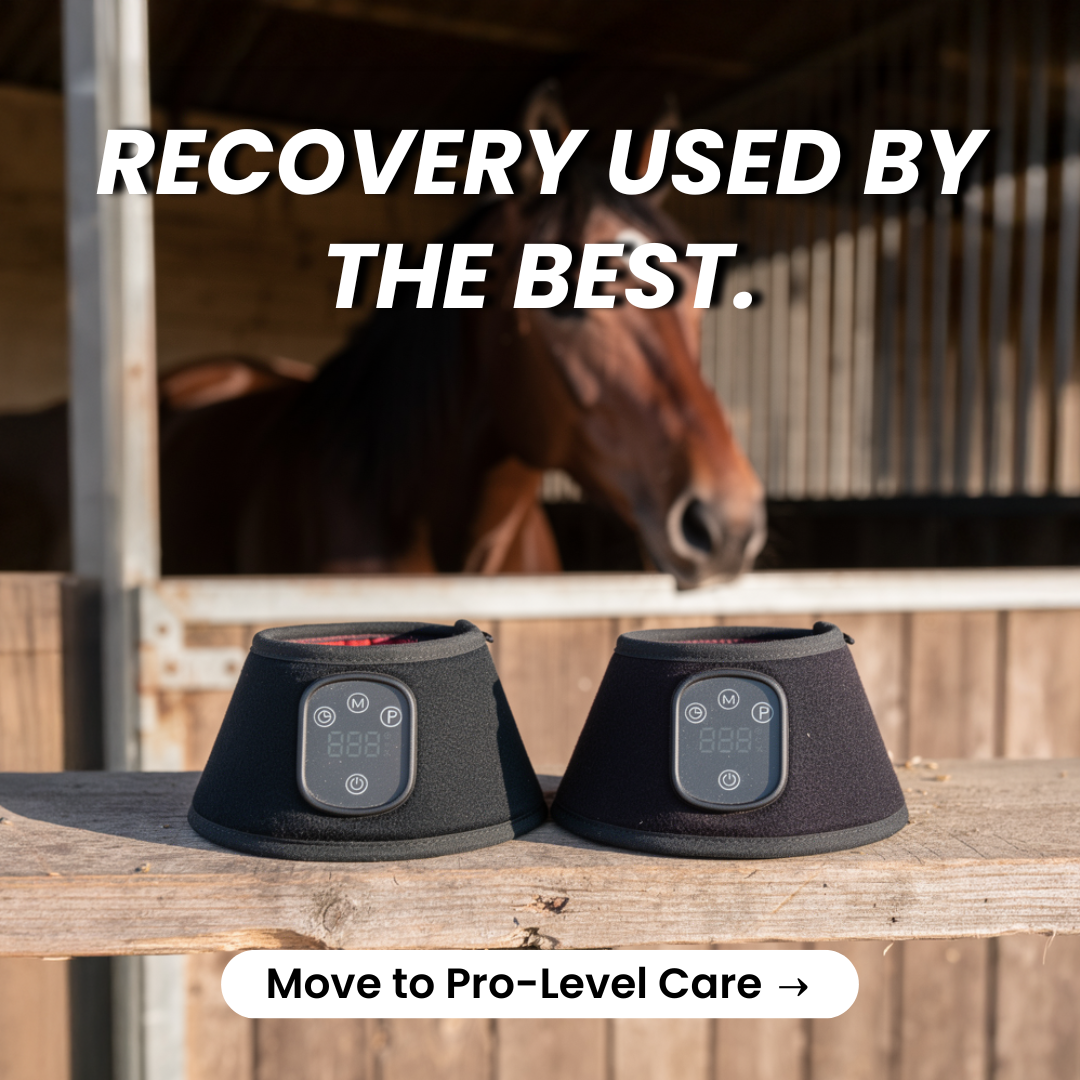 HorseHalo Facebook ad