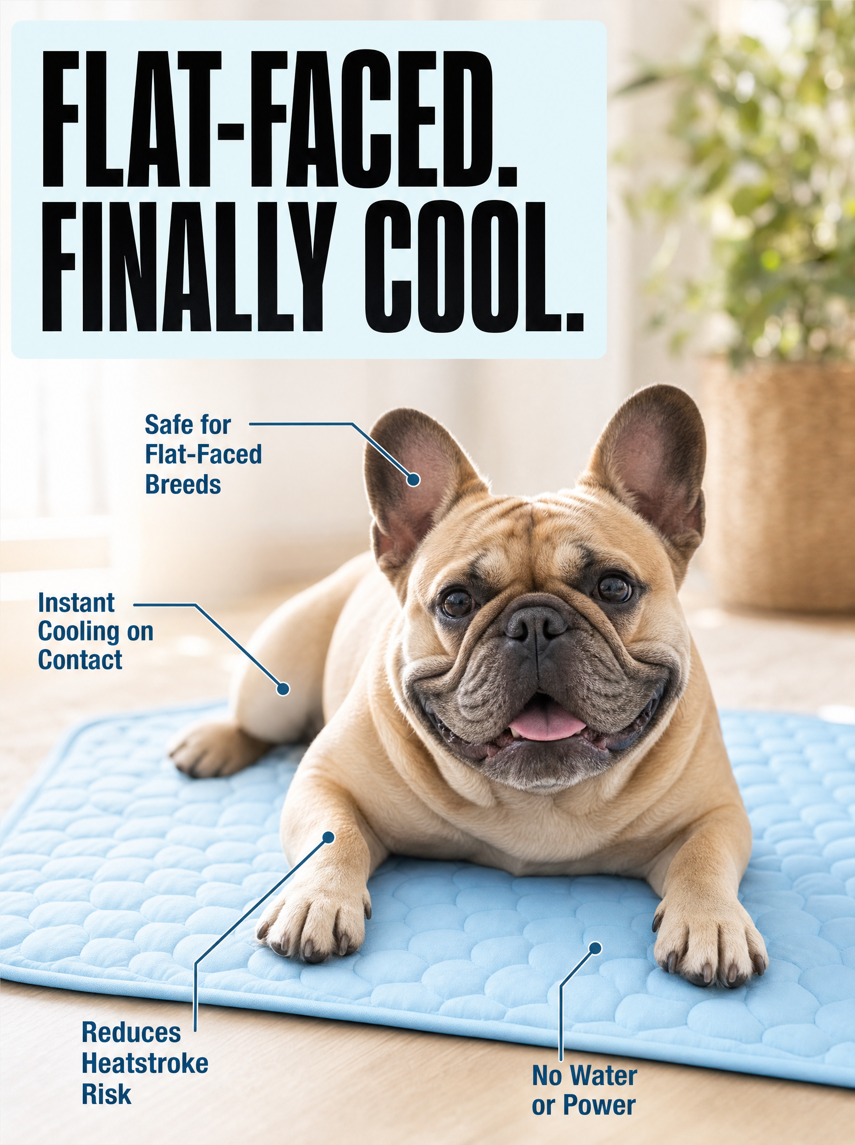 Rhykin Pet Co Facebook ad