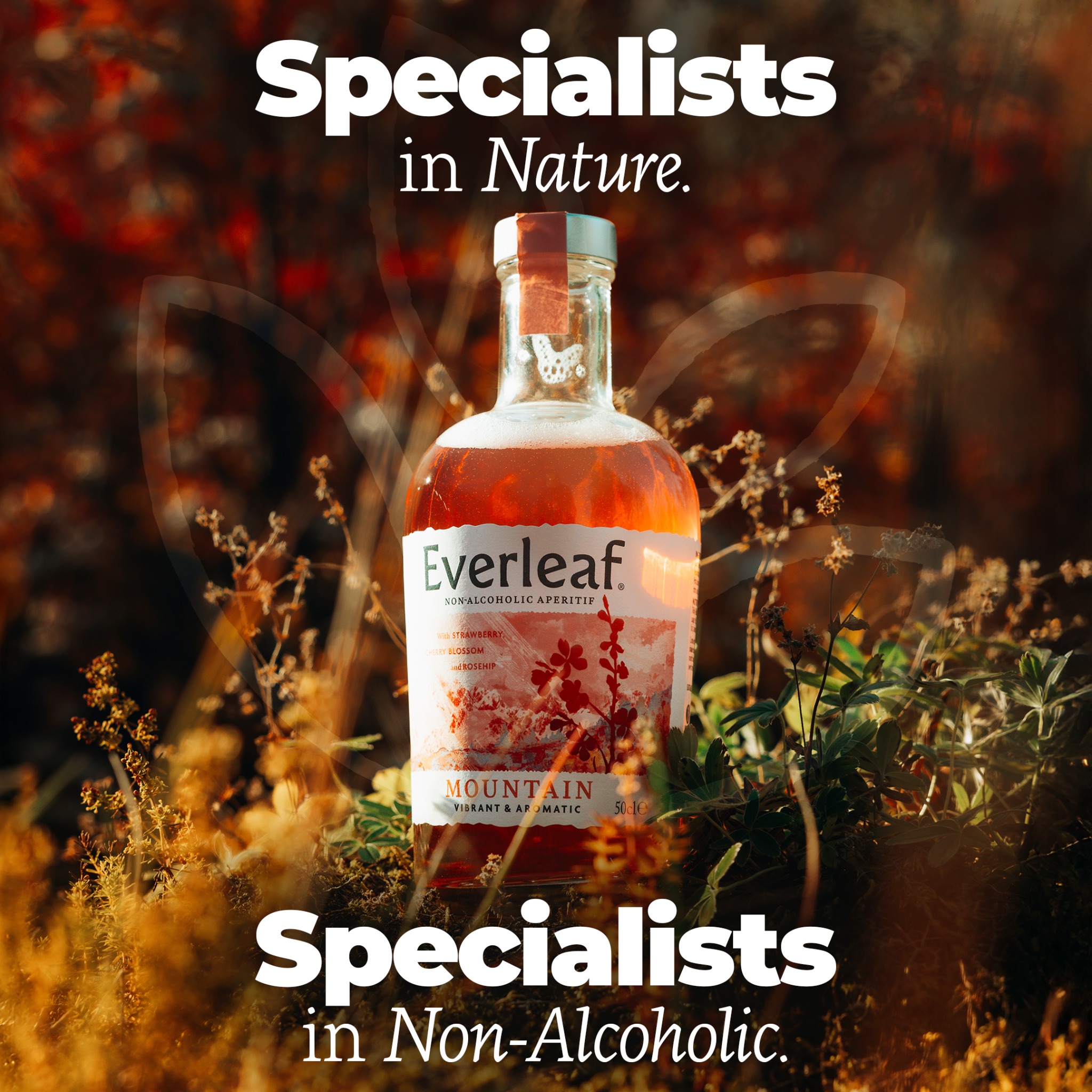Everleaf Drinks Facebook ad