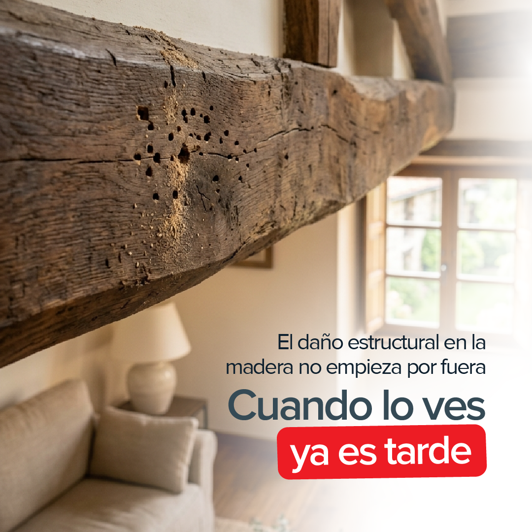 Rentokil España Facebook ad: Lo que no ves puede estar destruyendo tu…
