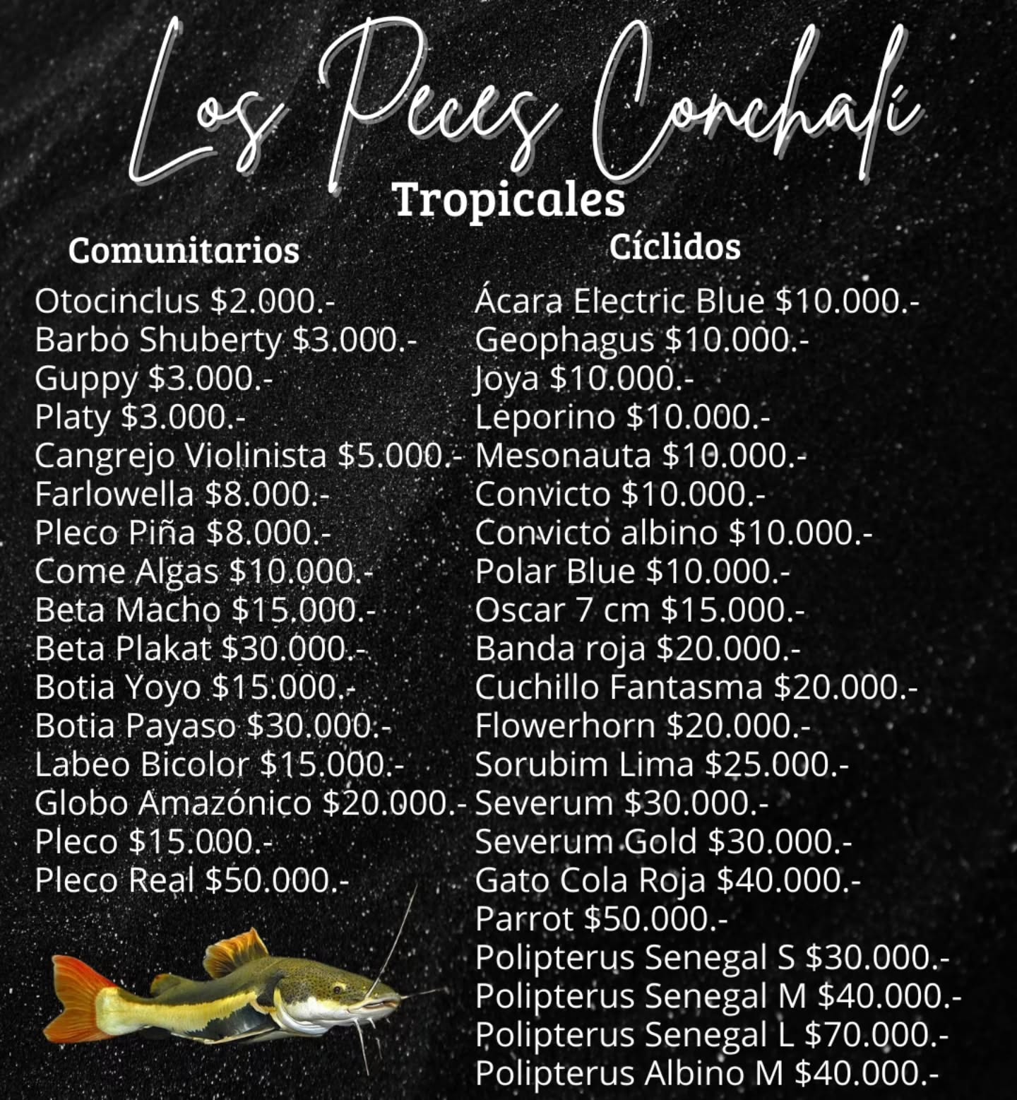Los peces Conchalí Facebook ad: ~LISTADO ACTUALIZADO ENERO ~ DESLIZA PARA VER MÁS…