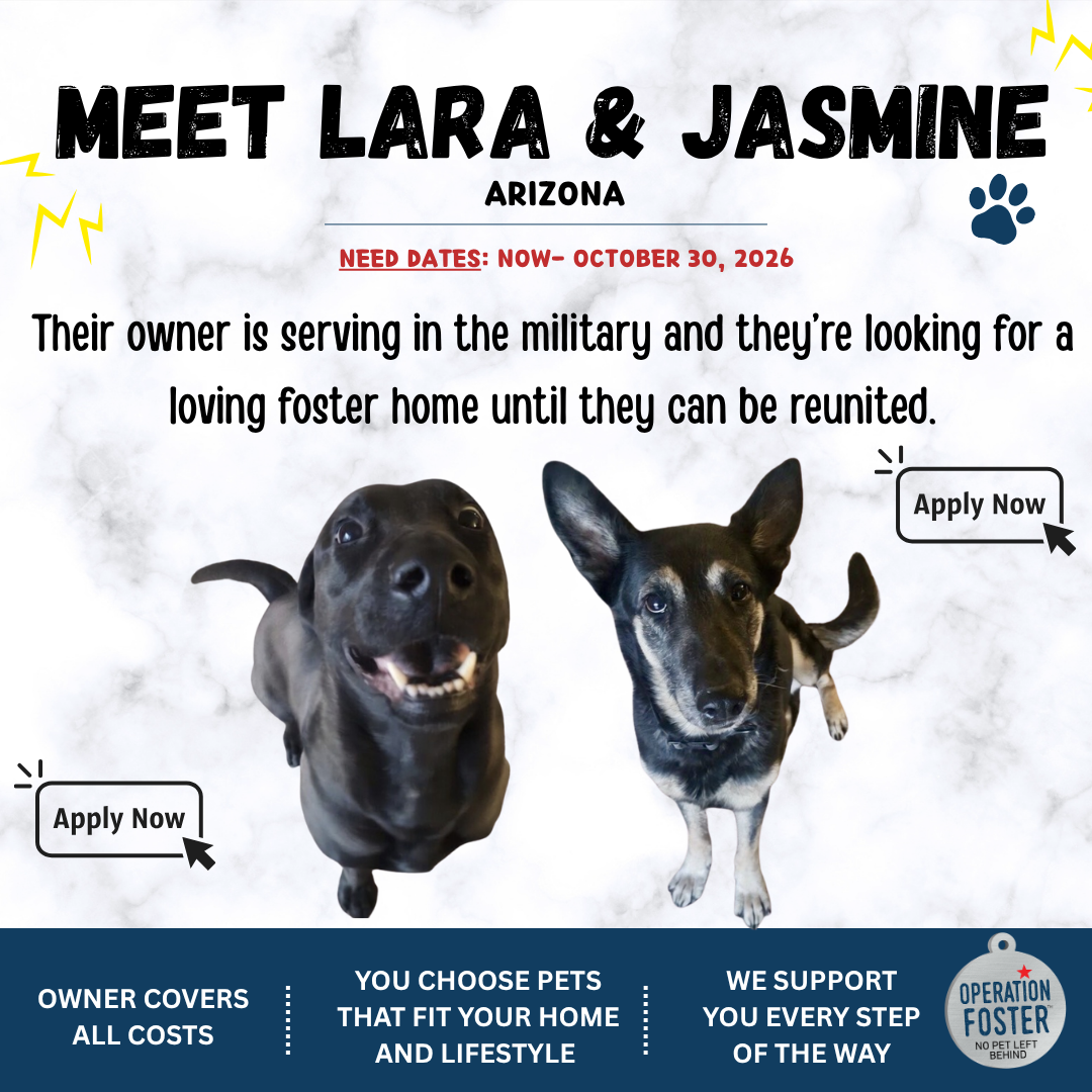 Operation Foster Facebook ad: Foster Laura + Jasmine