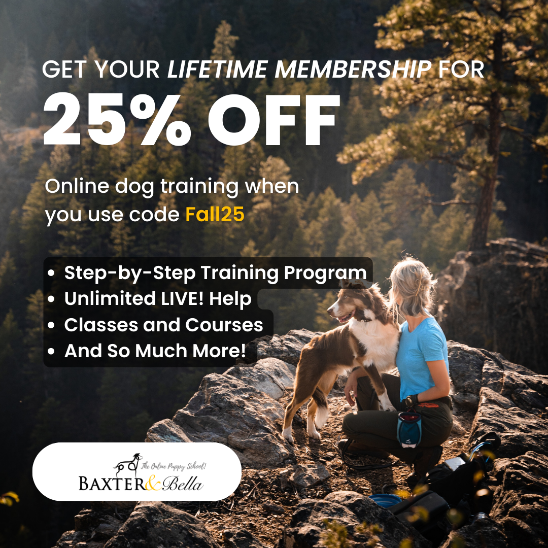 Baxter & Bella - The Online Puppy School Facebook ad