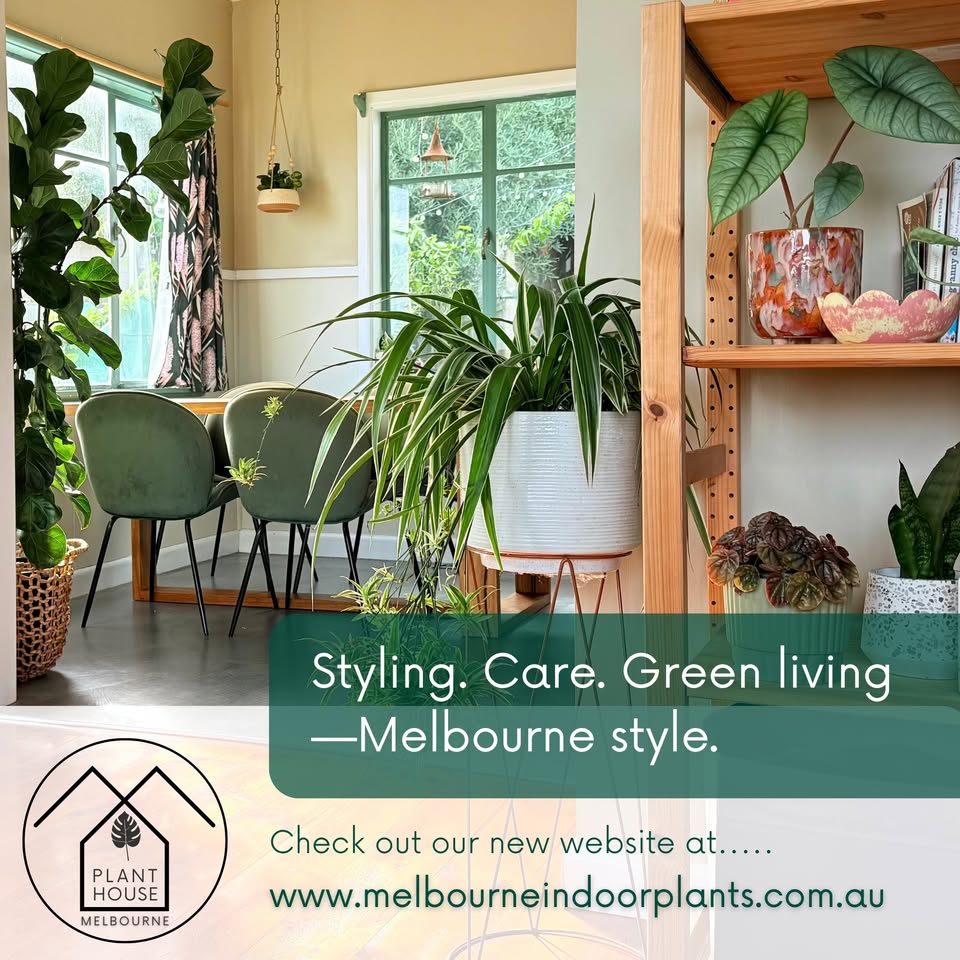 Plant house Melbourne Facebook ad: Introducing Plant House Melbourne