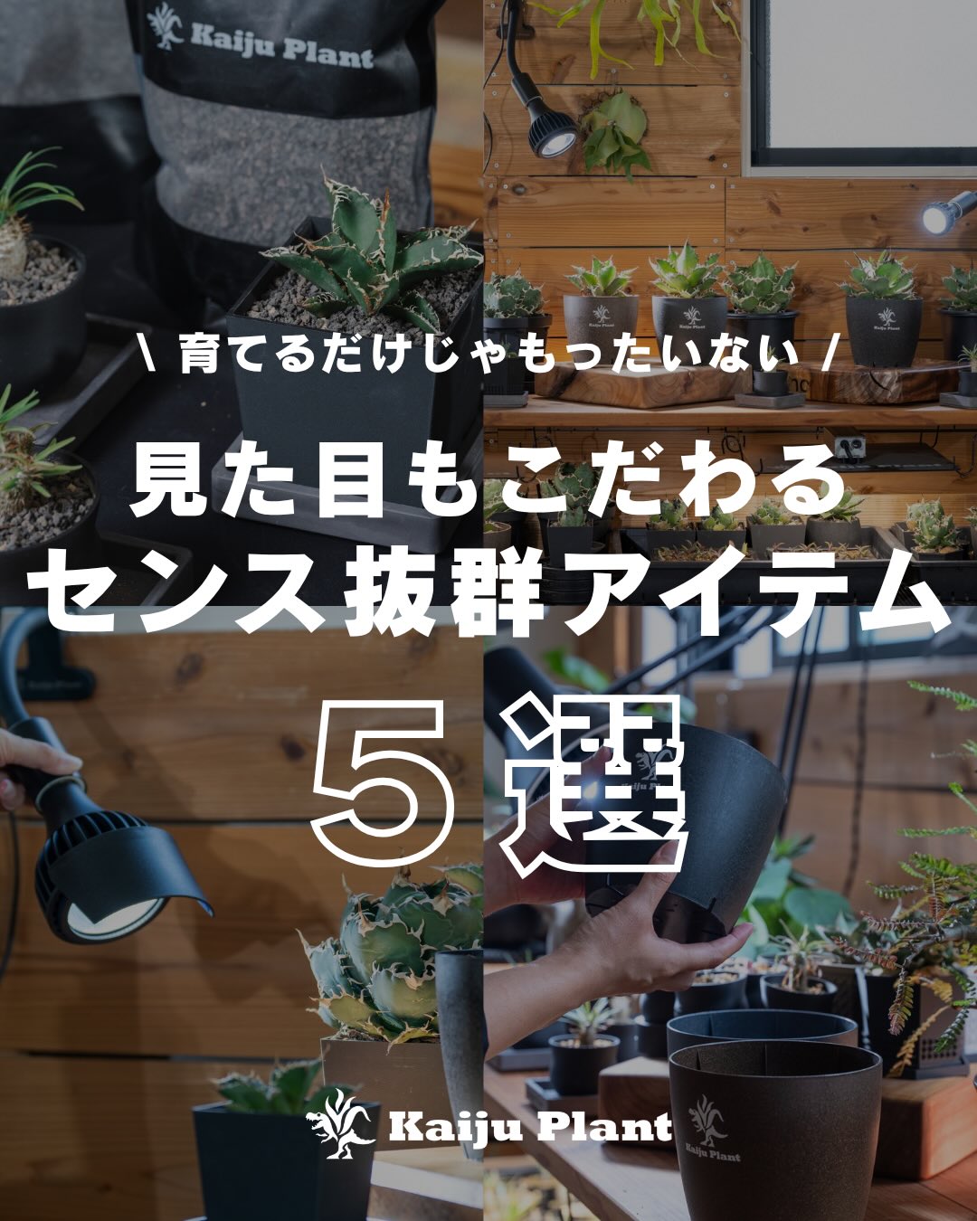 Kaiju_Plant Facebook ad: 育てるだけじゃもったいない。