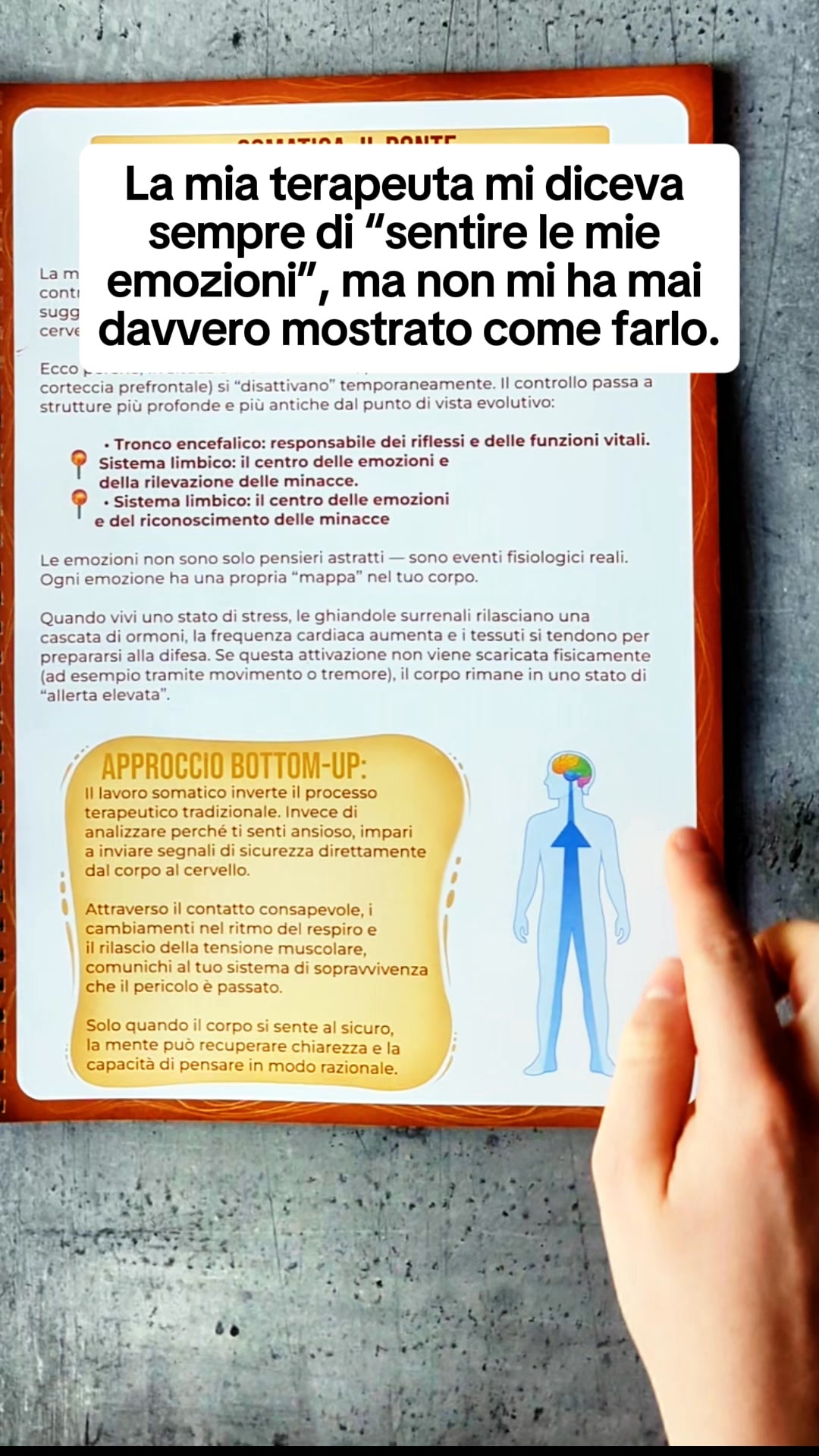Harmonis. Facebook ad: Workbook di Terapia Somatica