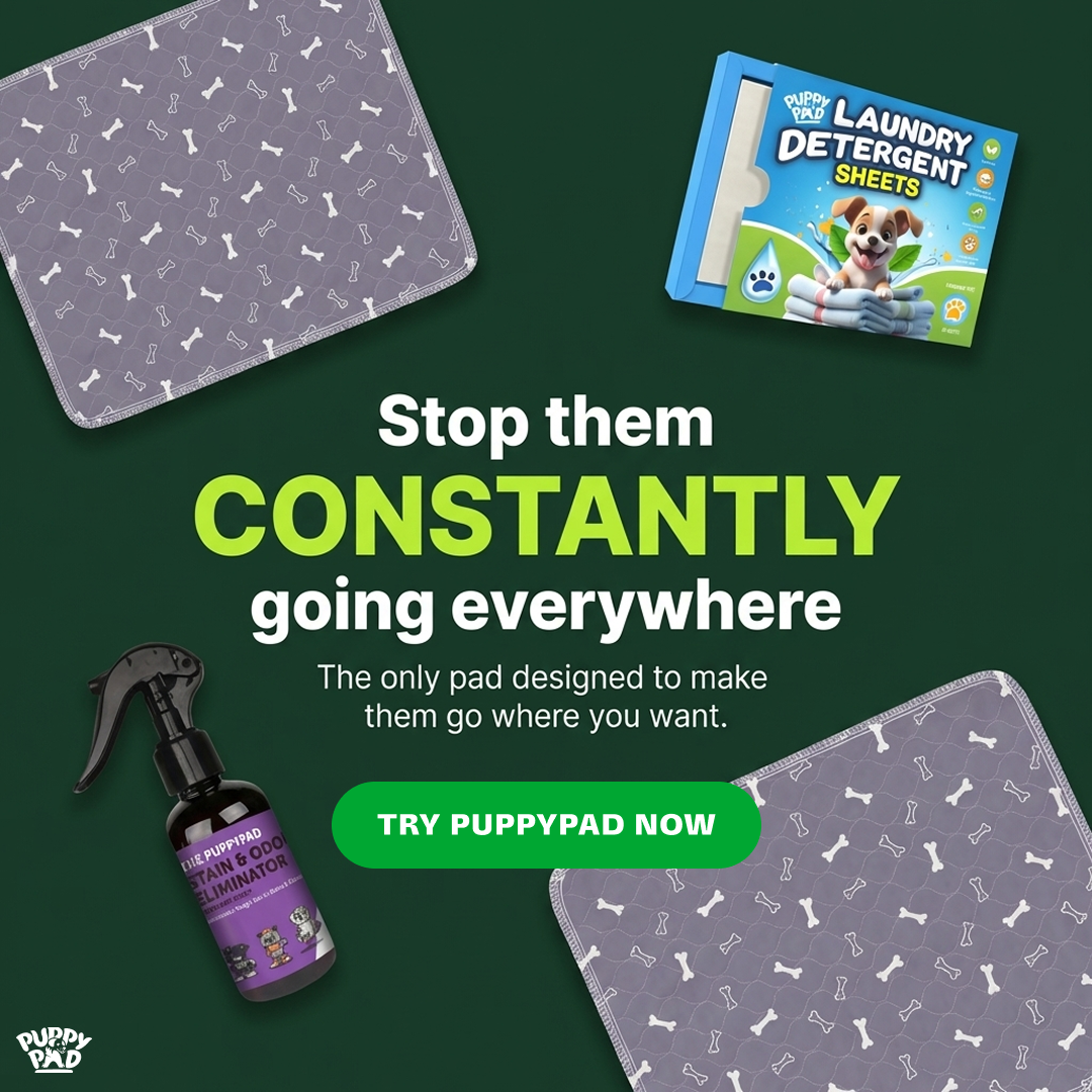 PuppyPad Facebook ad