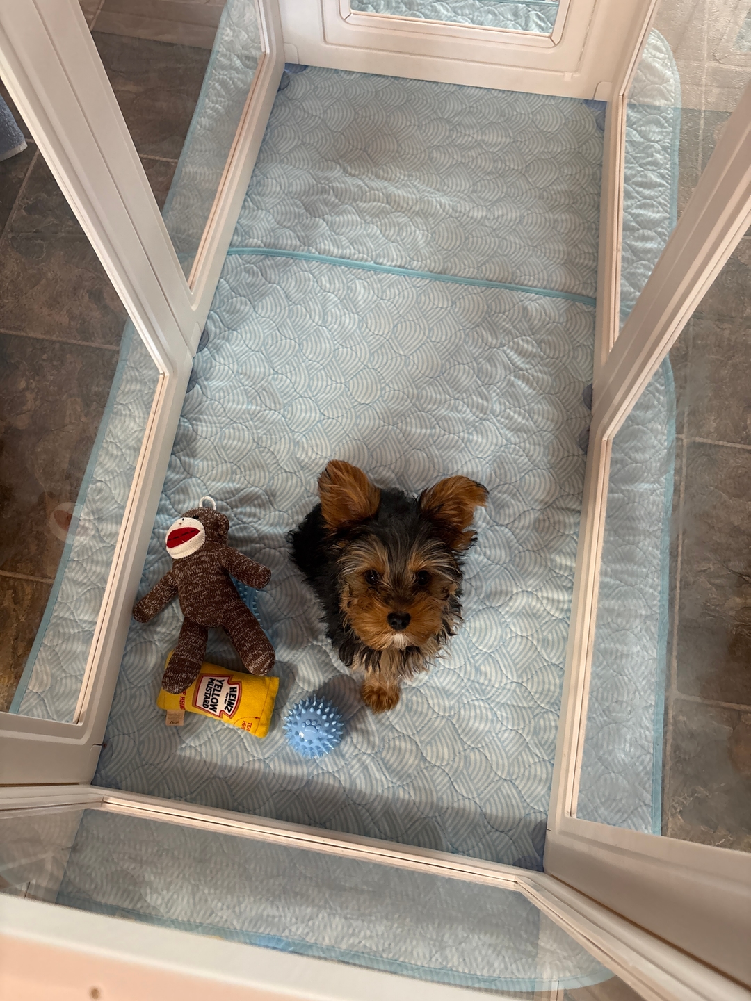 Potty Buddy Facebook ad