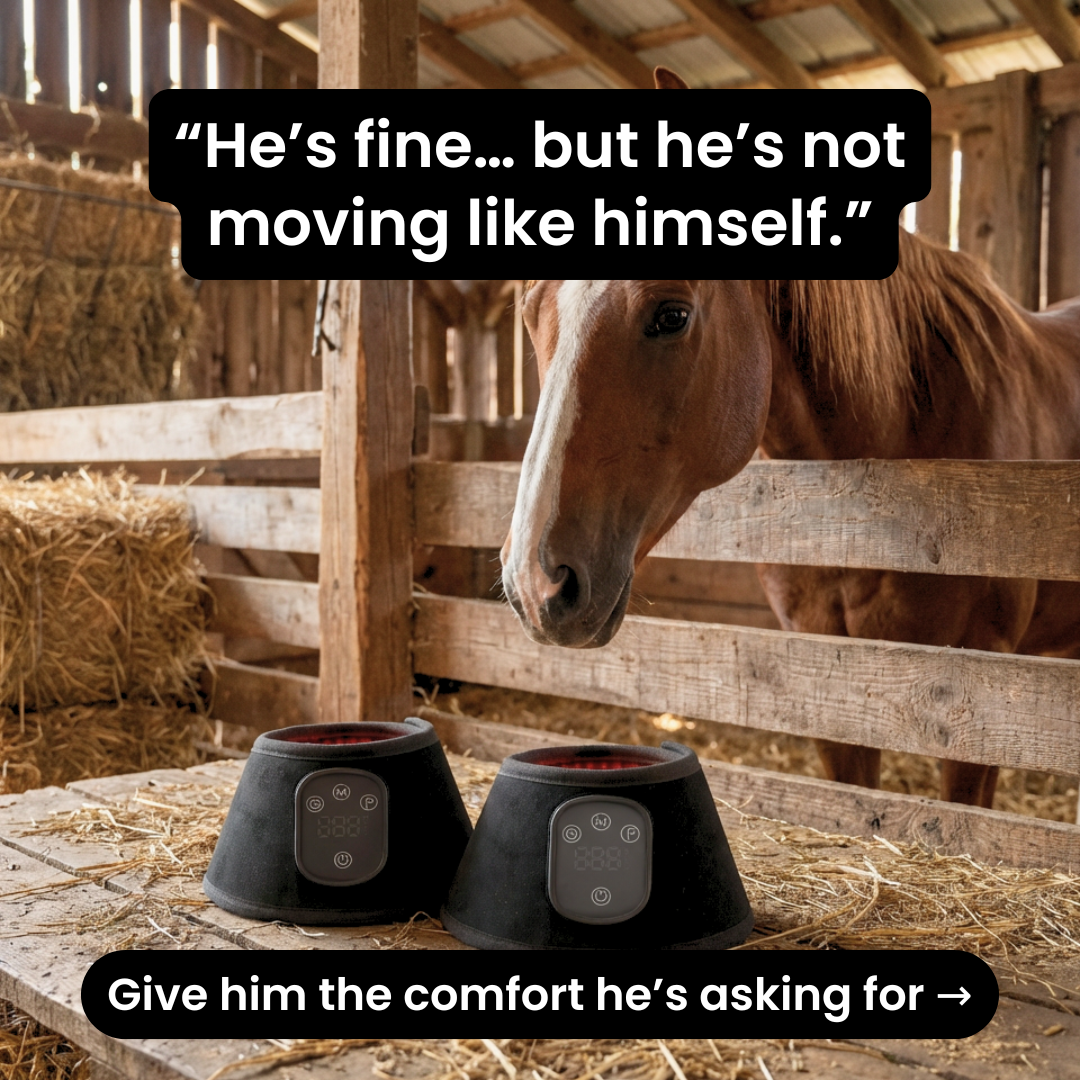 HorseHalo Facebook ad