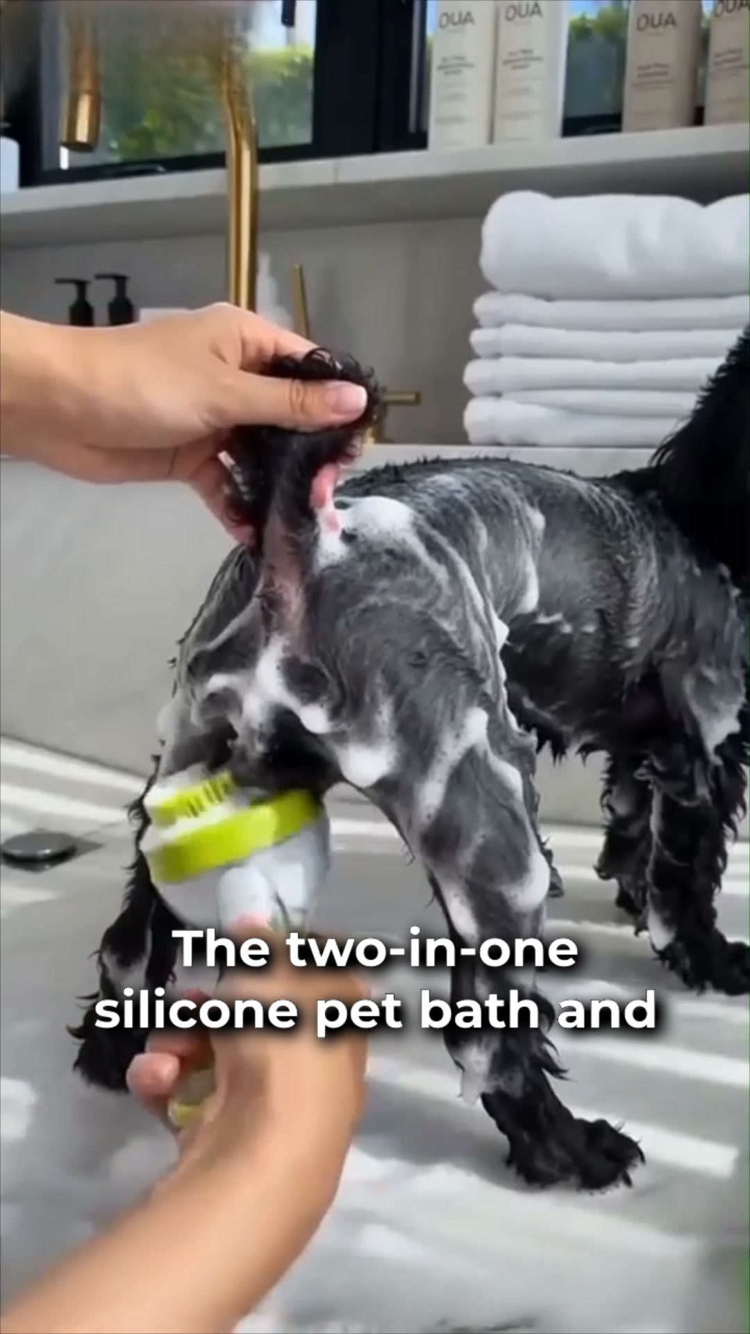 Kiwiwags Facebook ad: #1 Pet Bath Brush