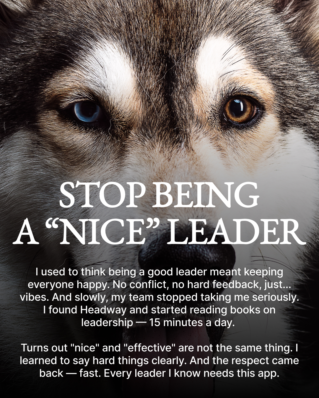 Key Insights From Bestsellers Facebook ad