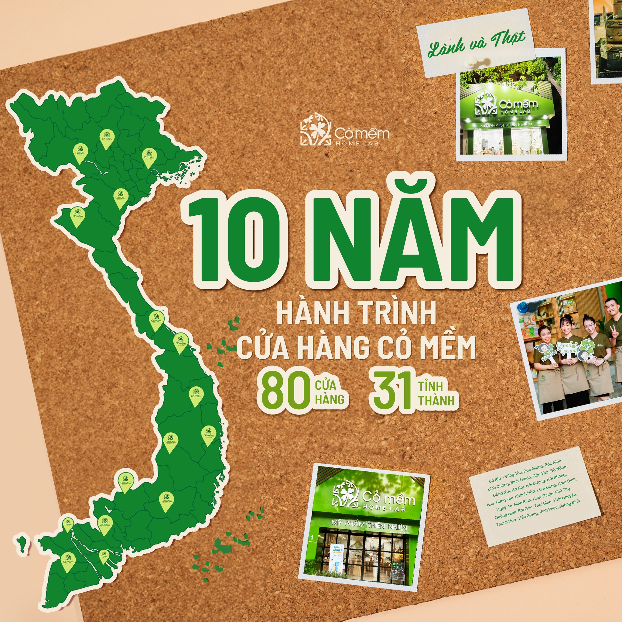 Cỏ mềm HomeLab Facebook ad