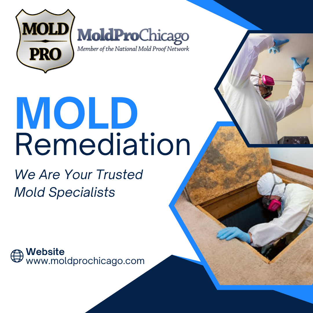 Mold Pro Chicago Facebook ad: Emergency Mold Removal