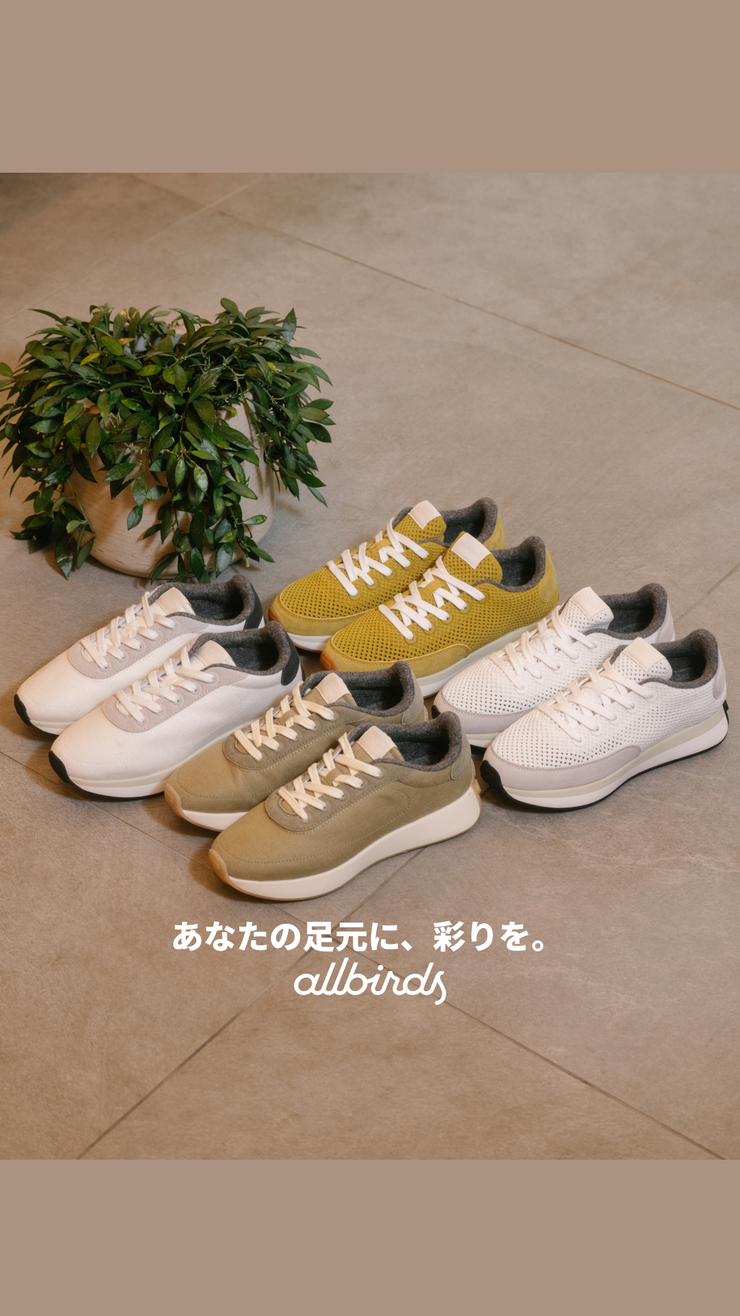 Allbirds Japan Facebook ad