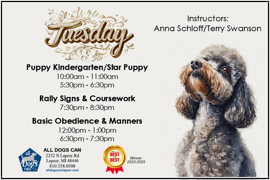 All Dogs Can  LLC Facebook ad