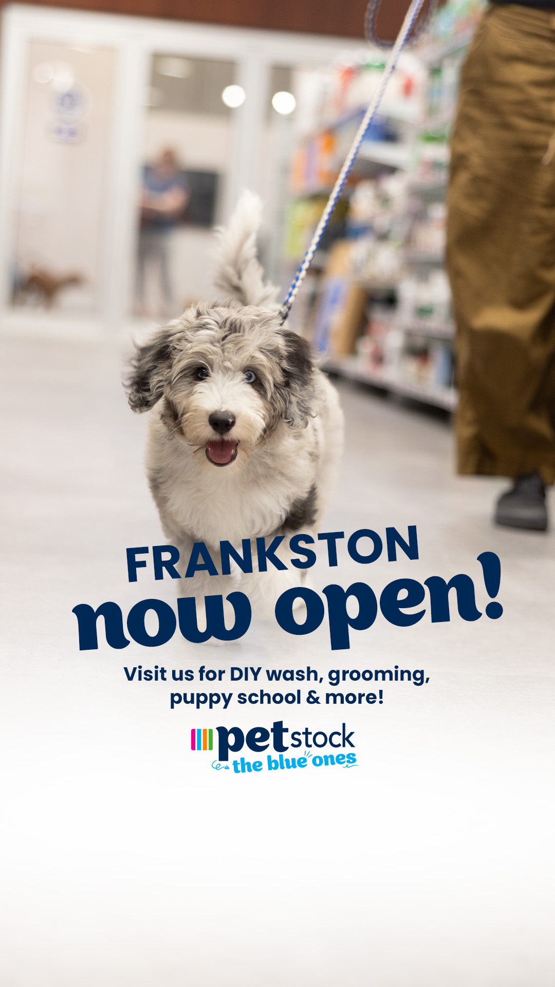 Petstock Facebook ad