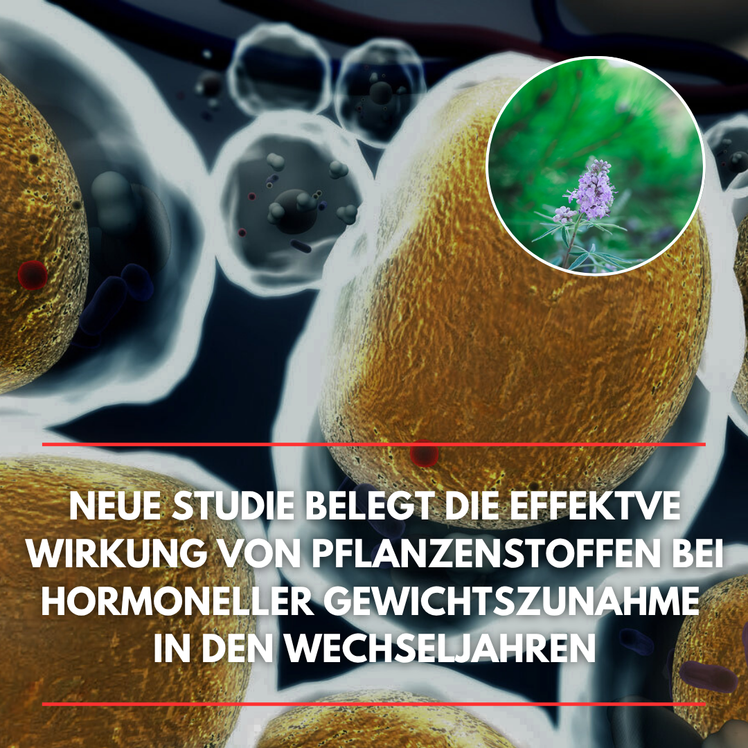 Gesundheitspiegel Facebook ad: Der größte Fehler bei Hormon-Bauchfett