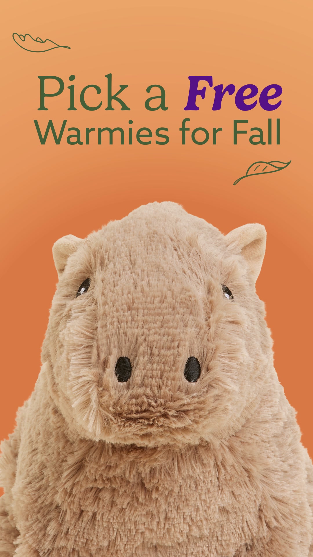 Warmies USA Facebook ad: Your Coziest Fall Deal