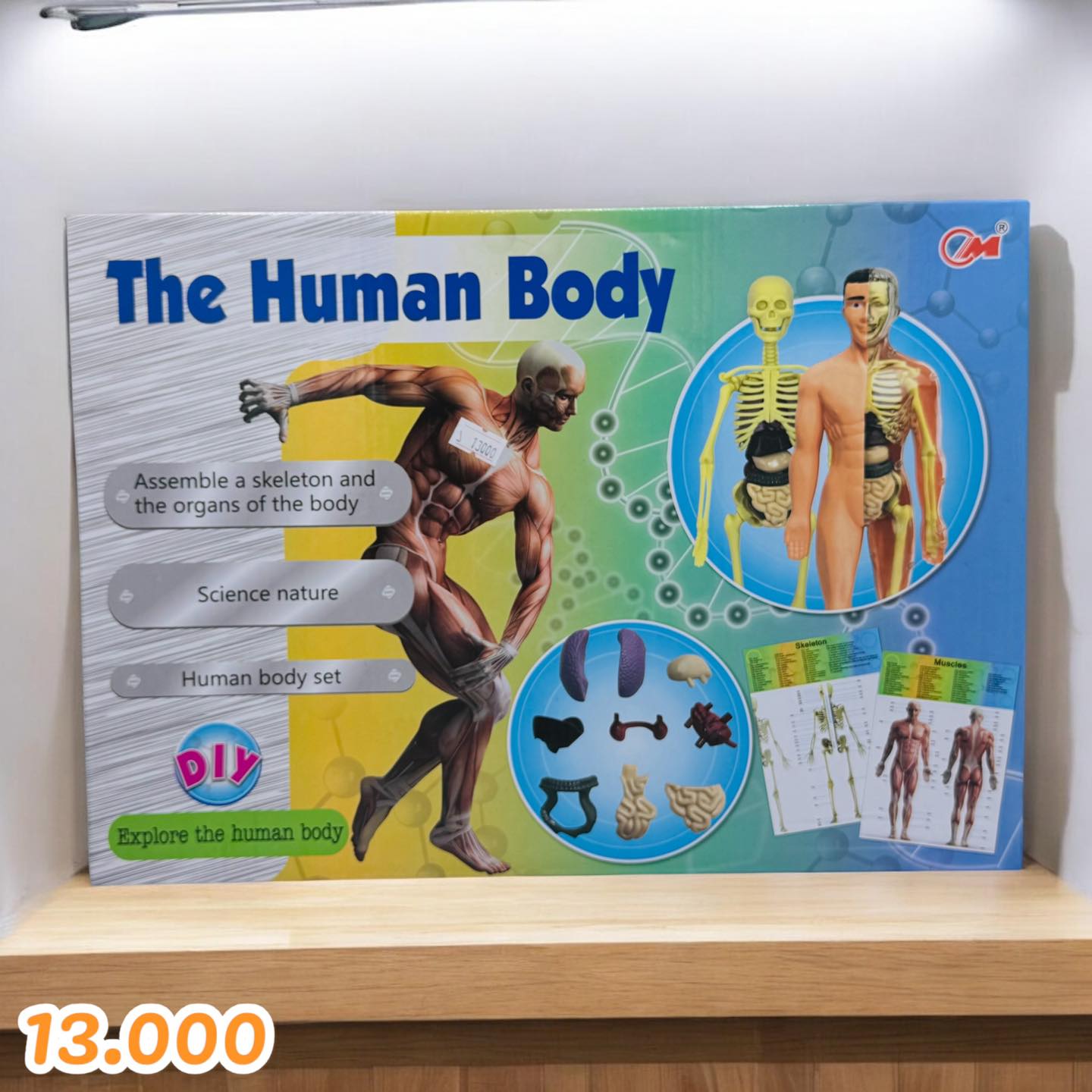 مكتبة روتانا Facebook ad: مجسمات وتجارب علميه