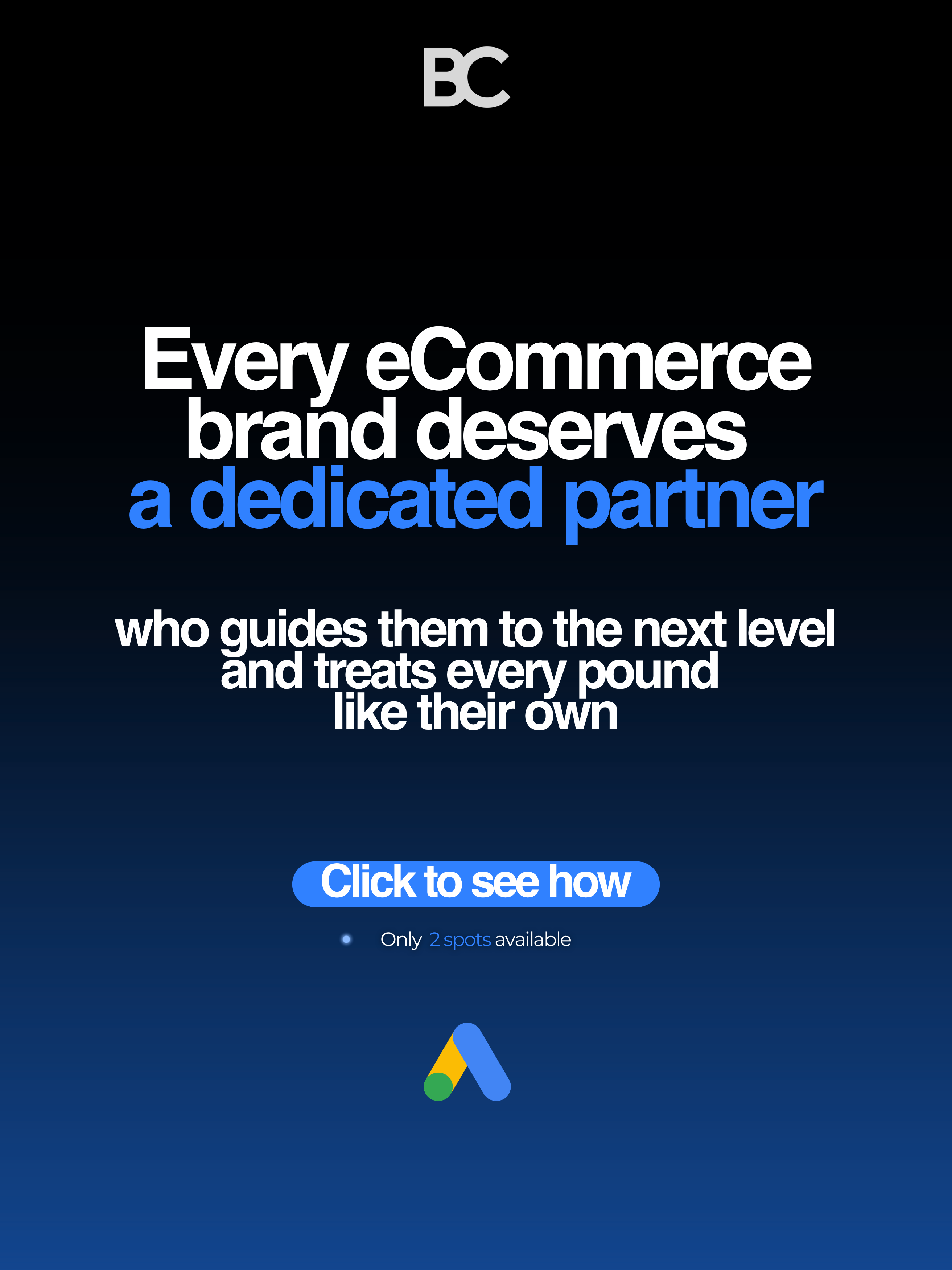 Bruens Consultancy Facebook ad: Free Google Ads Audit & Optimisation Review