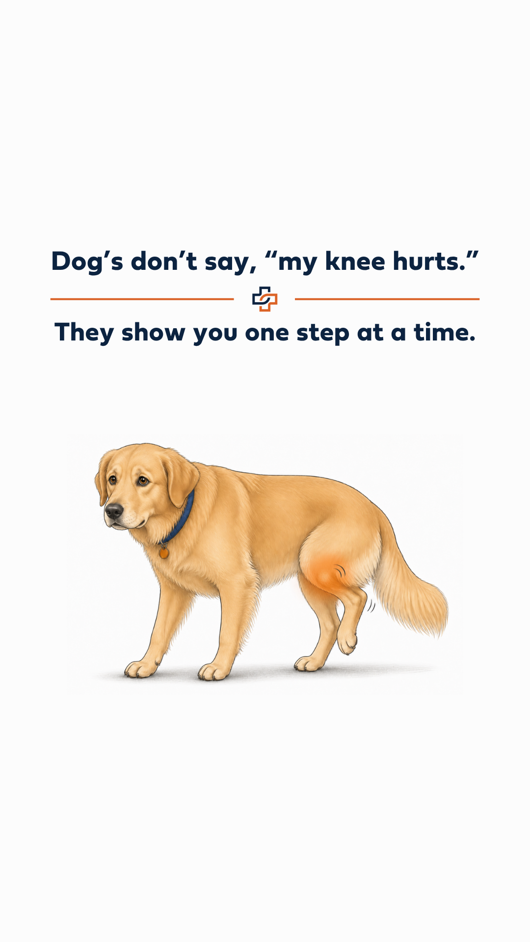 COVE Pet Care Facebook ad: Considering TPLO for Your Dog?