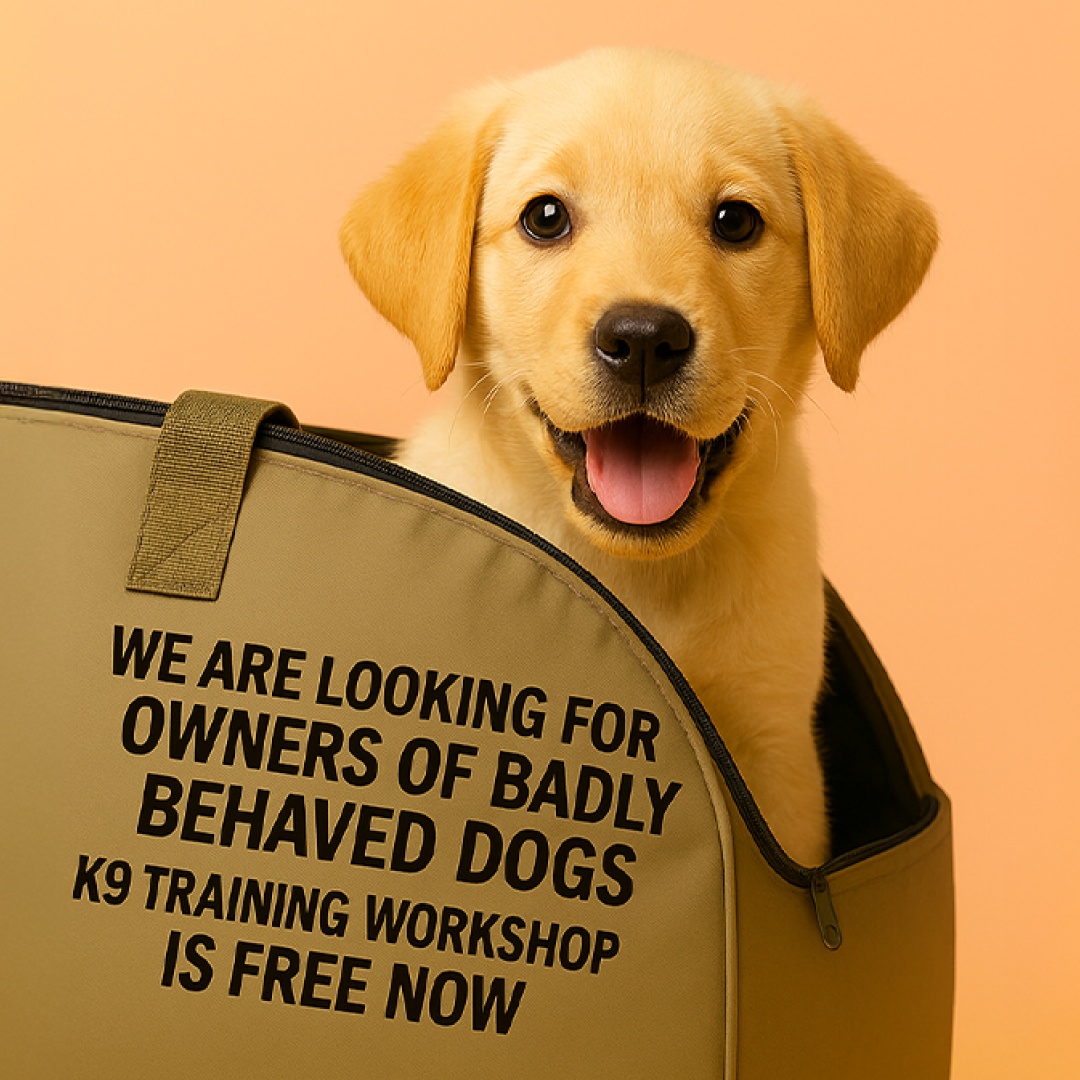 K9 Training Institute Facebook ad