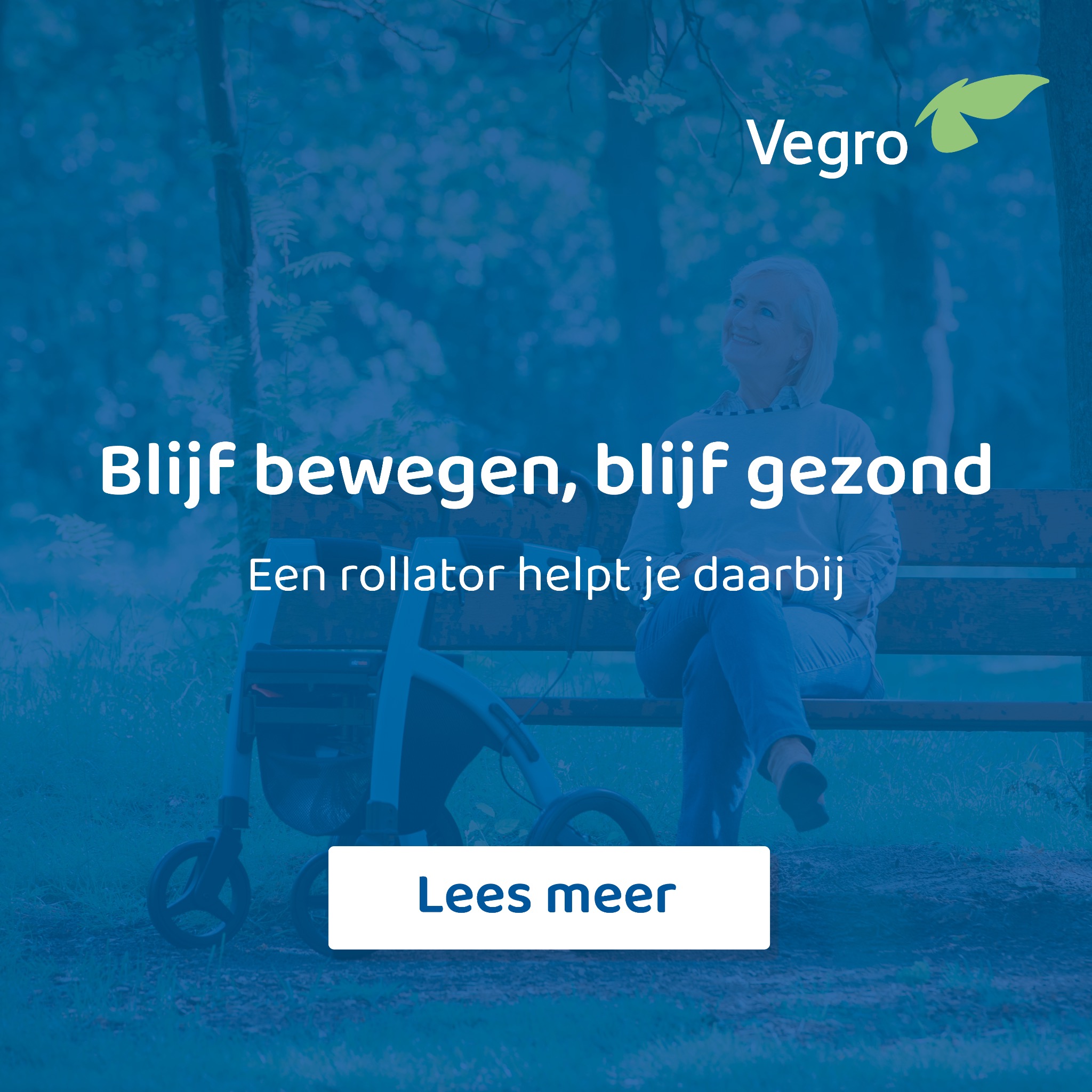 Vegro Facebook ad from Aug 1, 2025