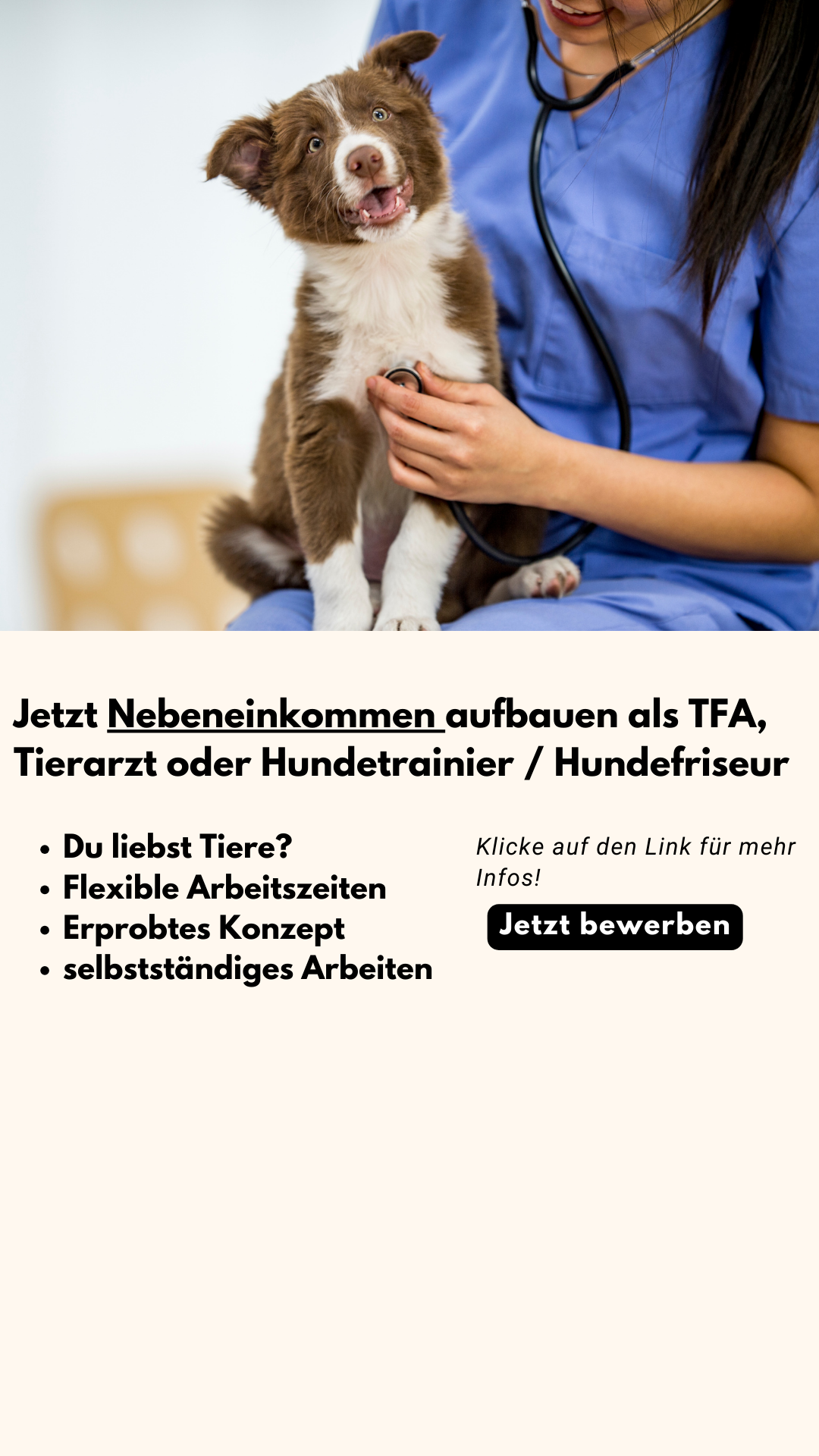 Tierfutterberater.com Facebook ad