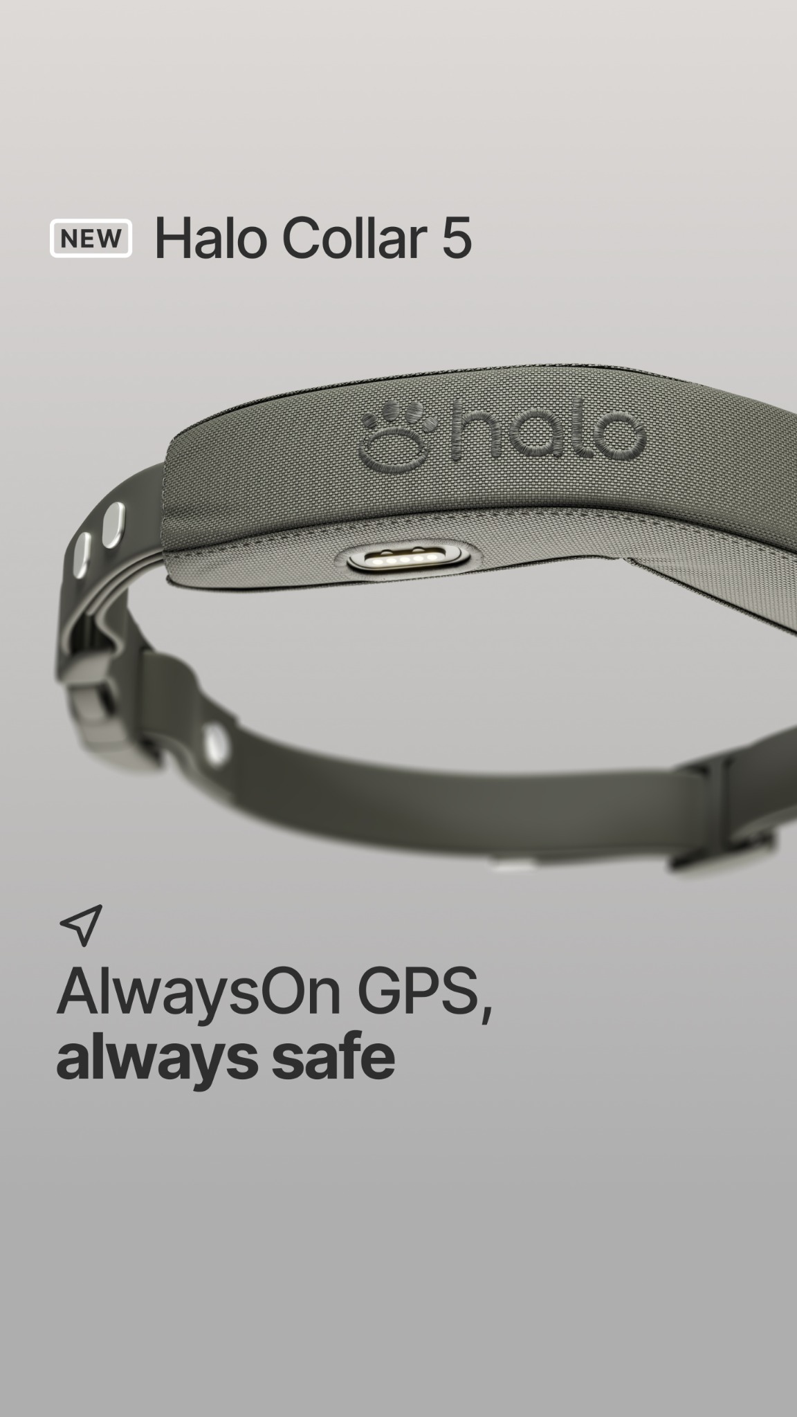 Halo Collar Facebook ad