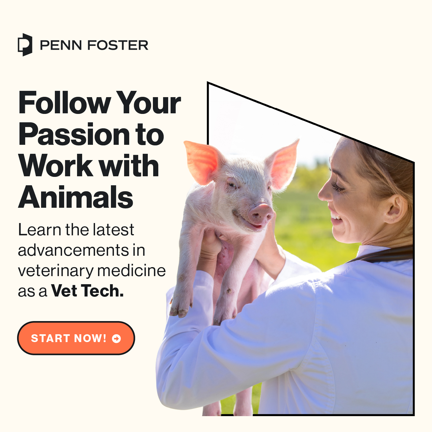 Penn Foster Facebook ad
