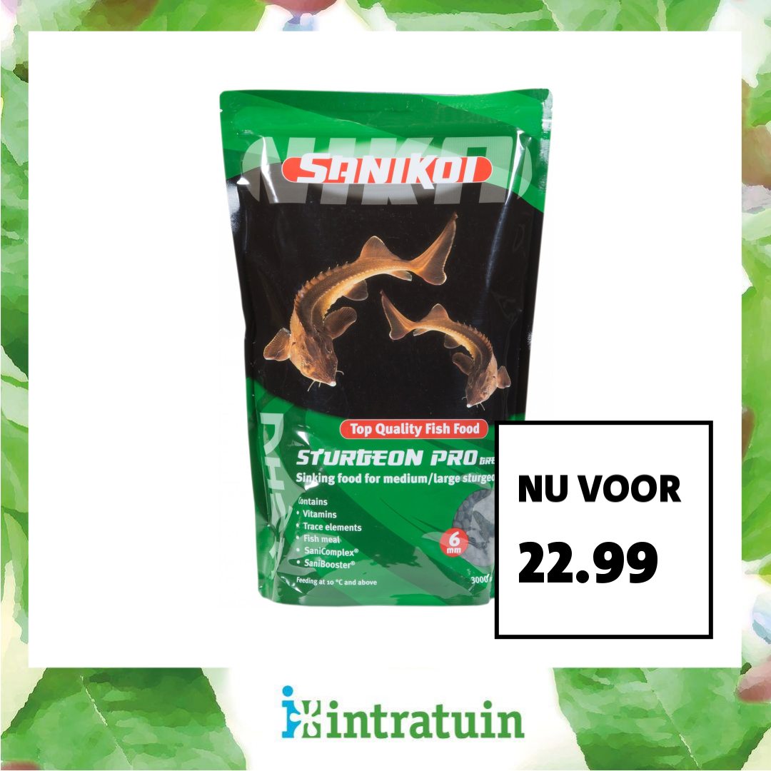 Intratuin Facebook ad