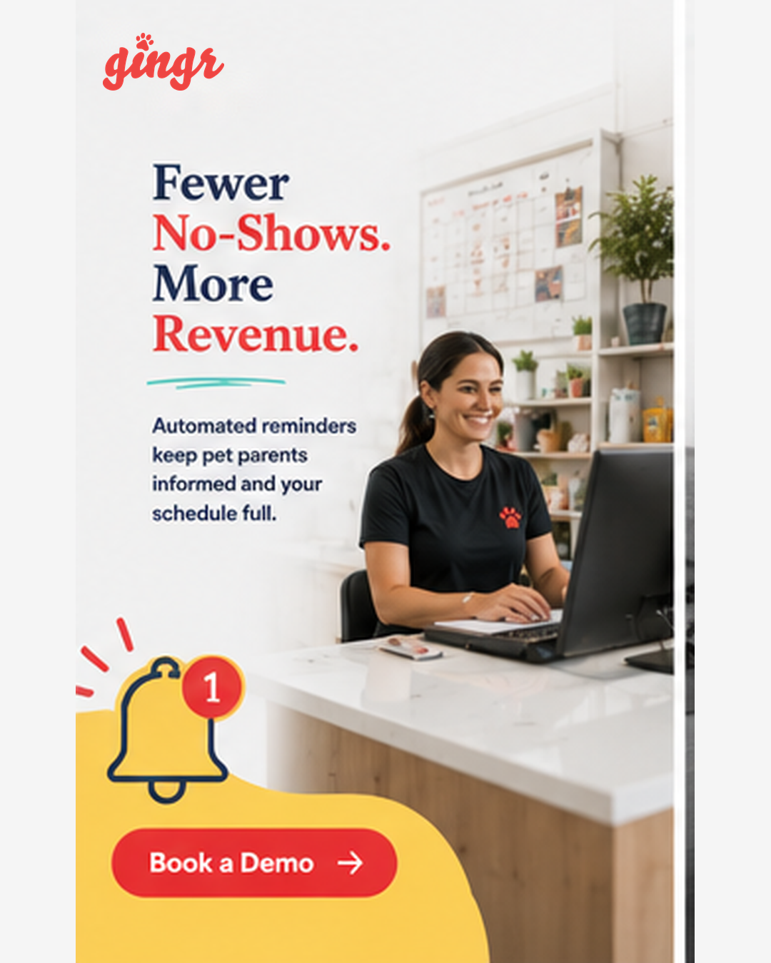 Gingr Facebook ad