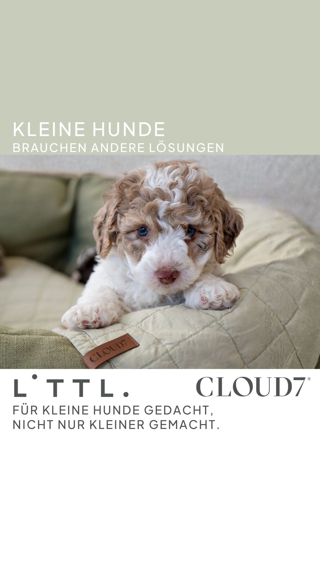 Cloud7 Facebook ad