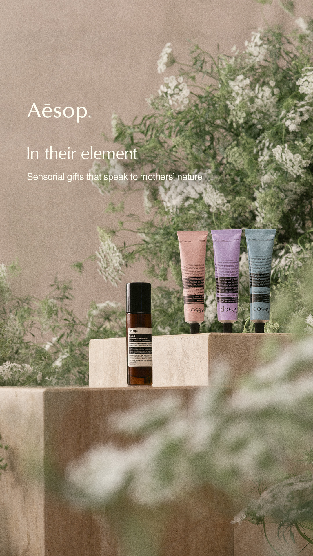 Aesop Facebook ad