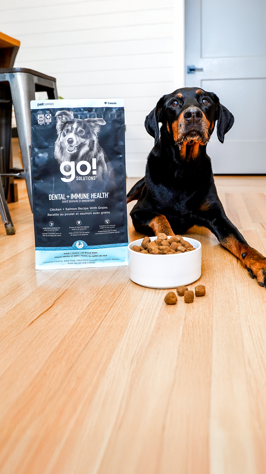 Go Solutions Pet Food Facebook ad from Apr 2, 2026