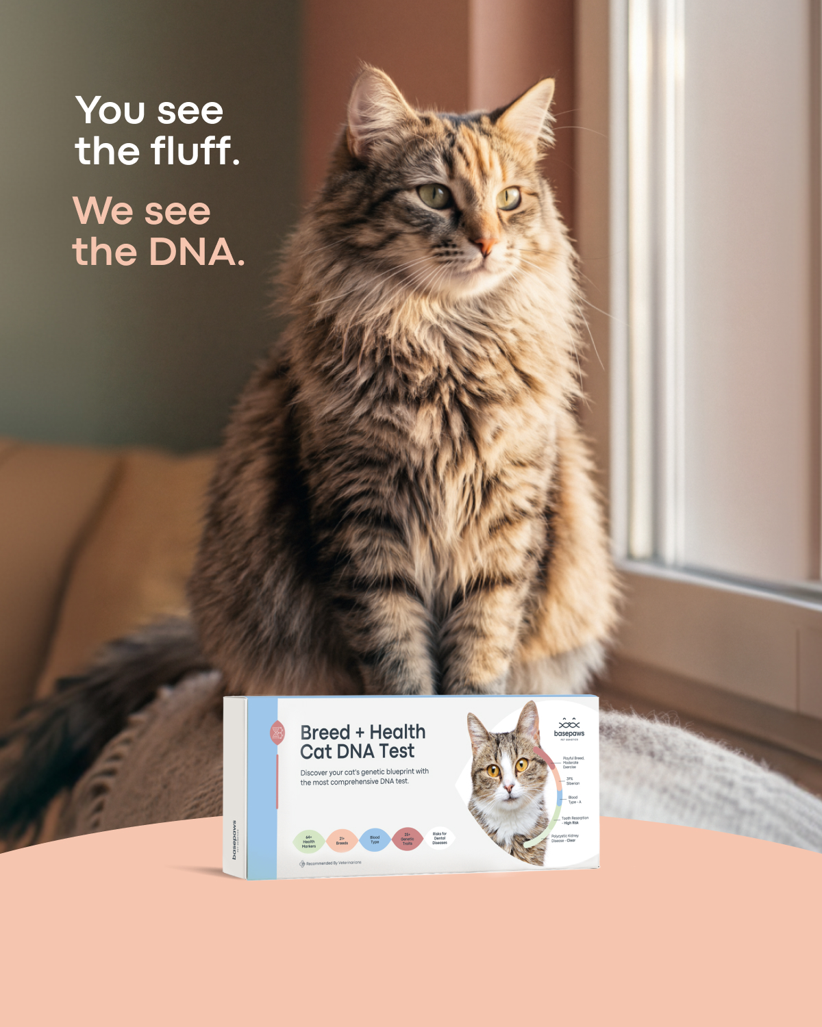Basepaws Facebook ad from Apr 3, 2026