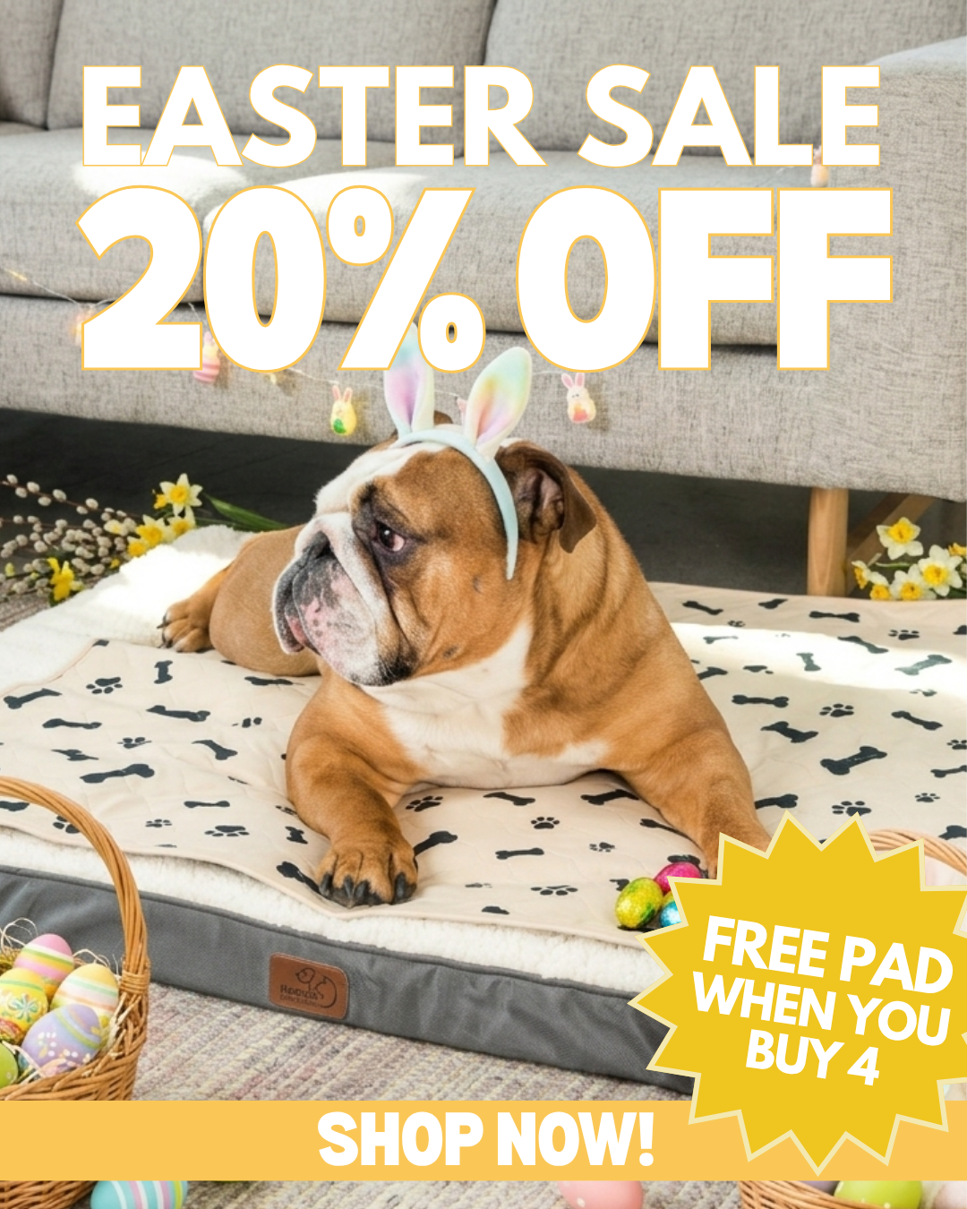 Potty Buddy Facebook ad
