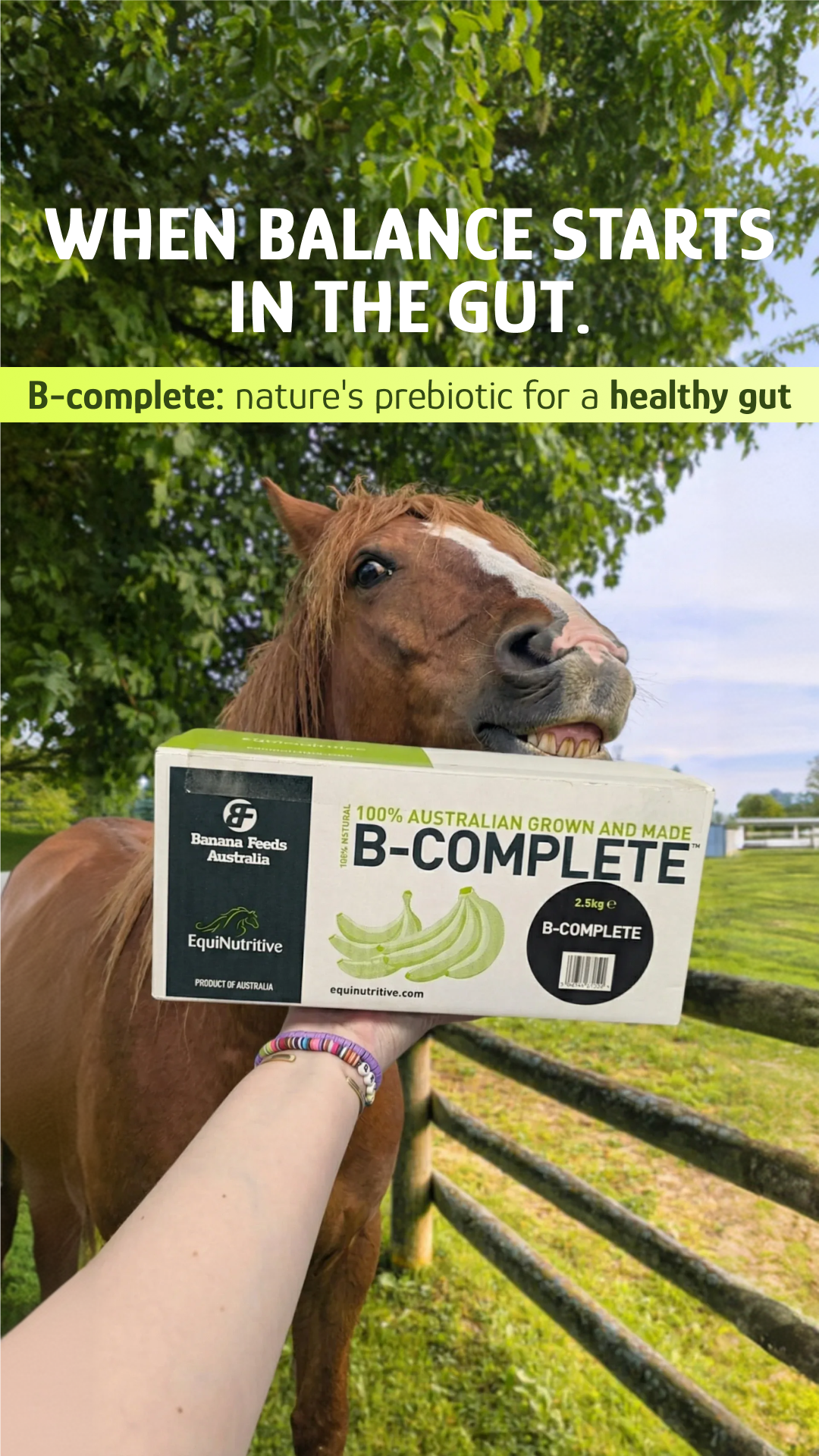 EquiNutritive Facebook ad