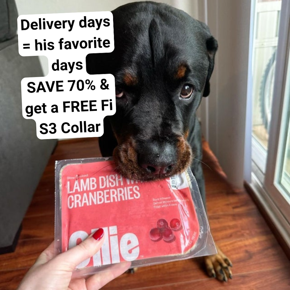 kellysomers Facebook ad